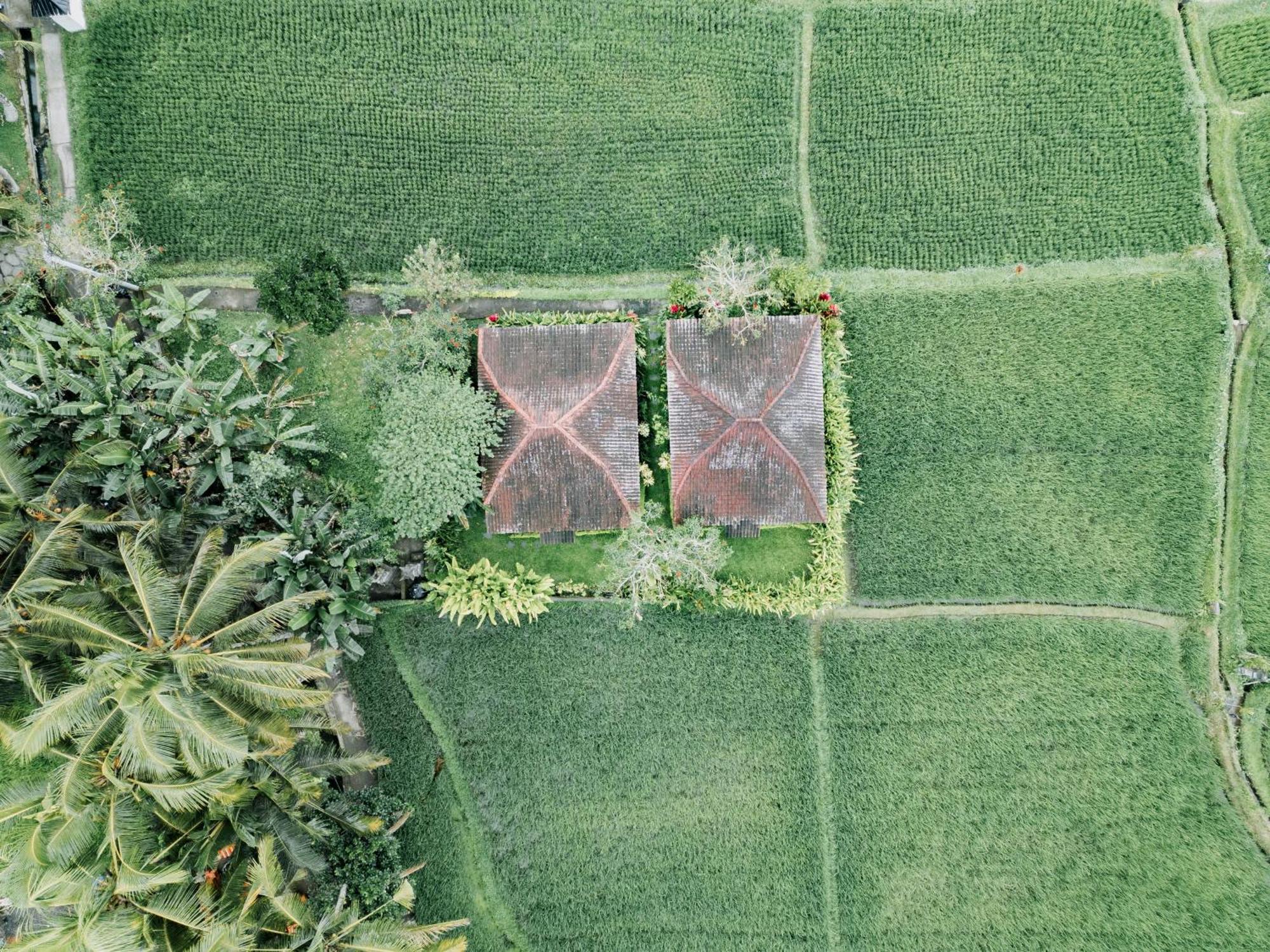 Casa de hóspedes Umadesa Ubud
