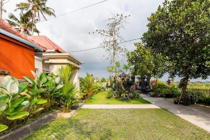 Kubu Kapas Bali