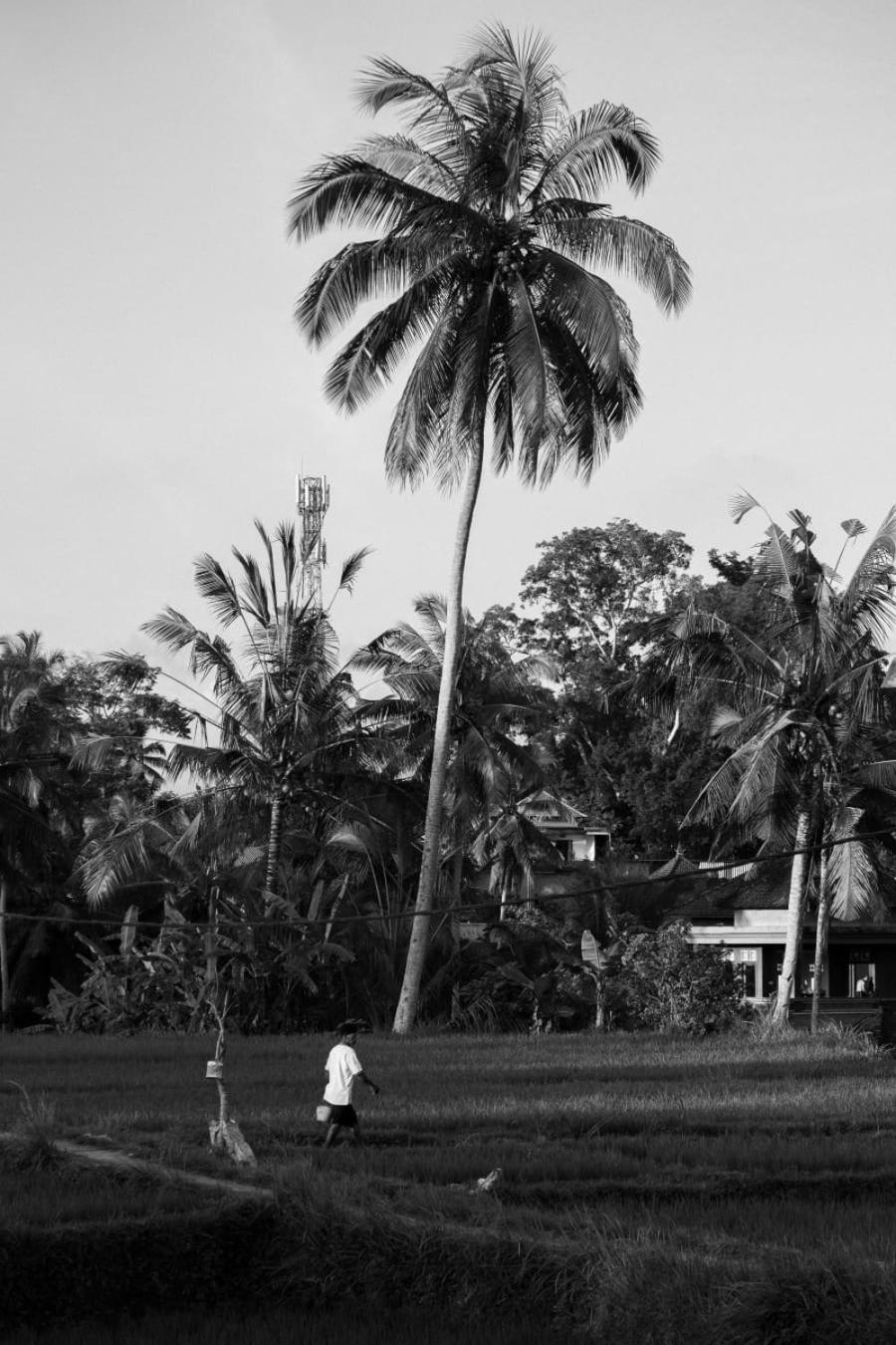 Mayani Villa Ubud