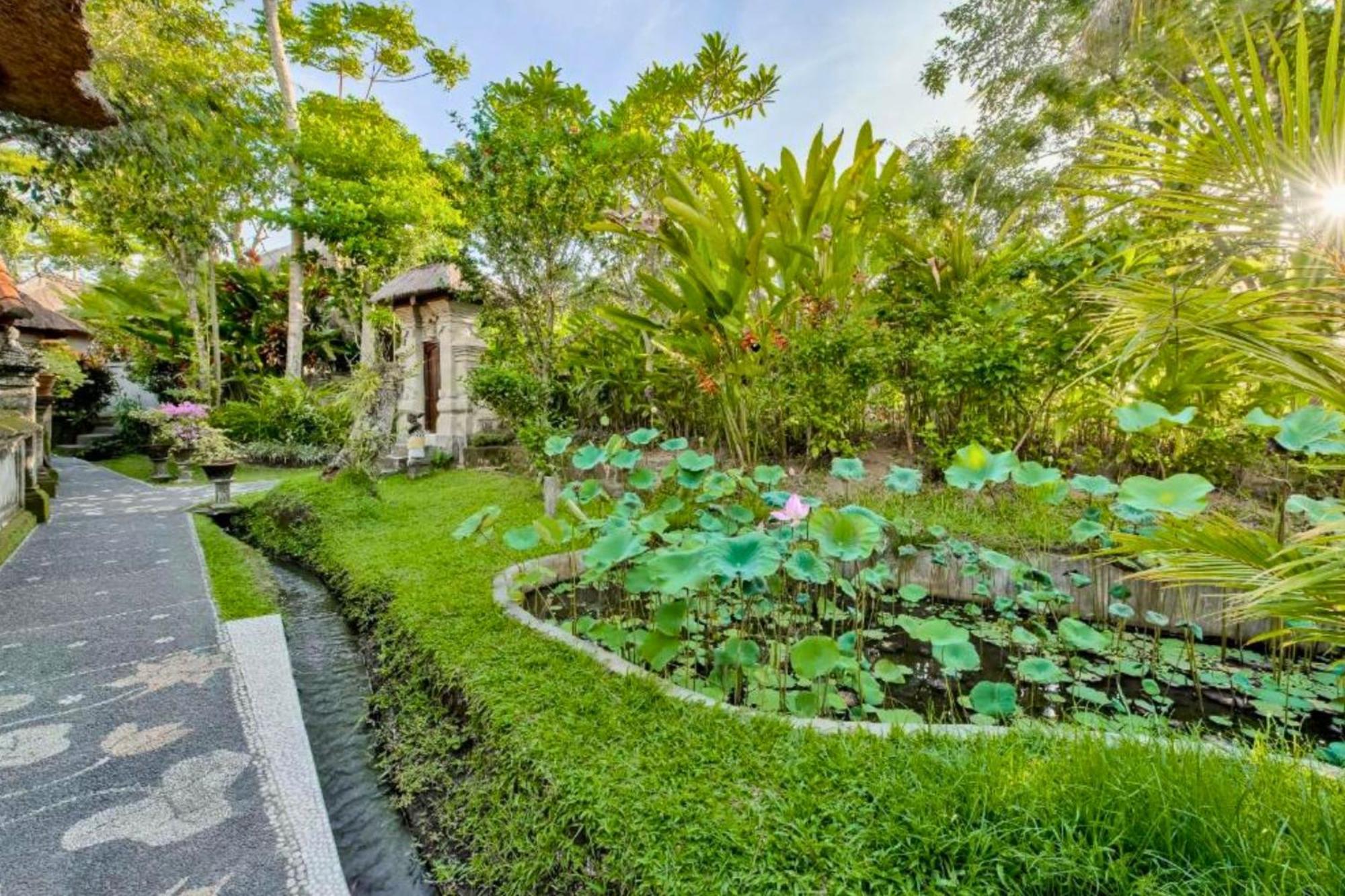 Dihya 1 Bedroom Deluxe Garden Wooden Zn231 *