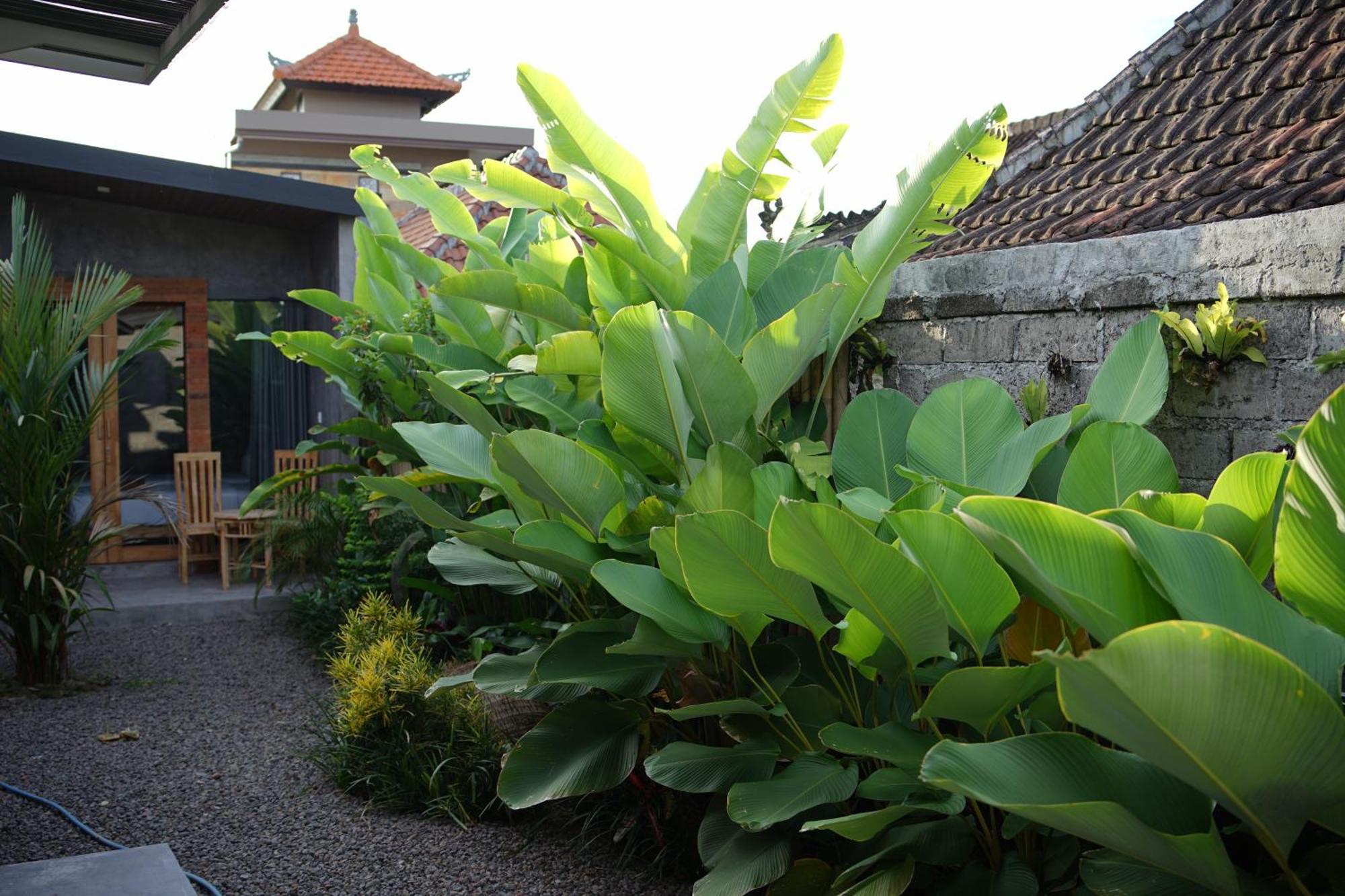 Dedeane 3* Ubud (Bali)