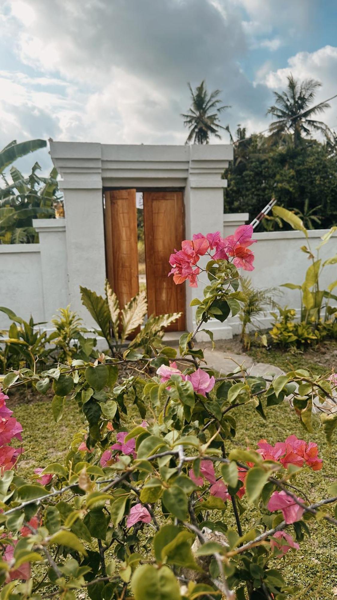 Damuh * Ubud (Bali)