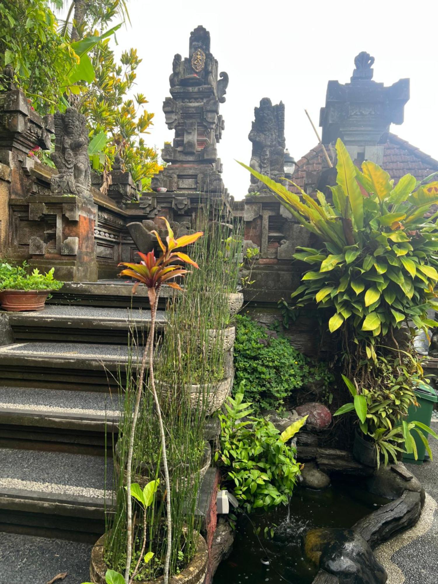 Rumah Kelinci *