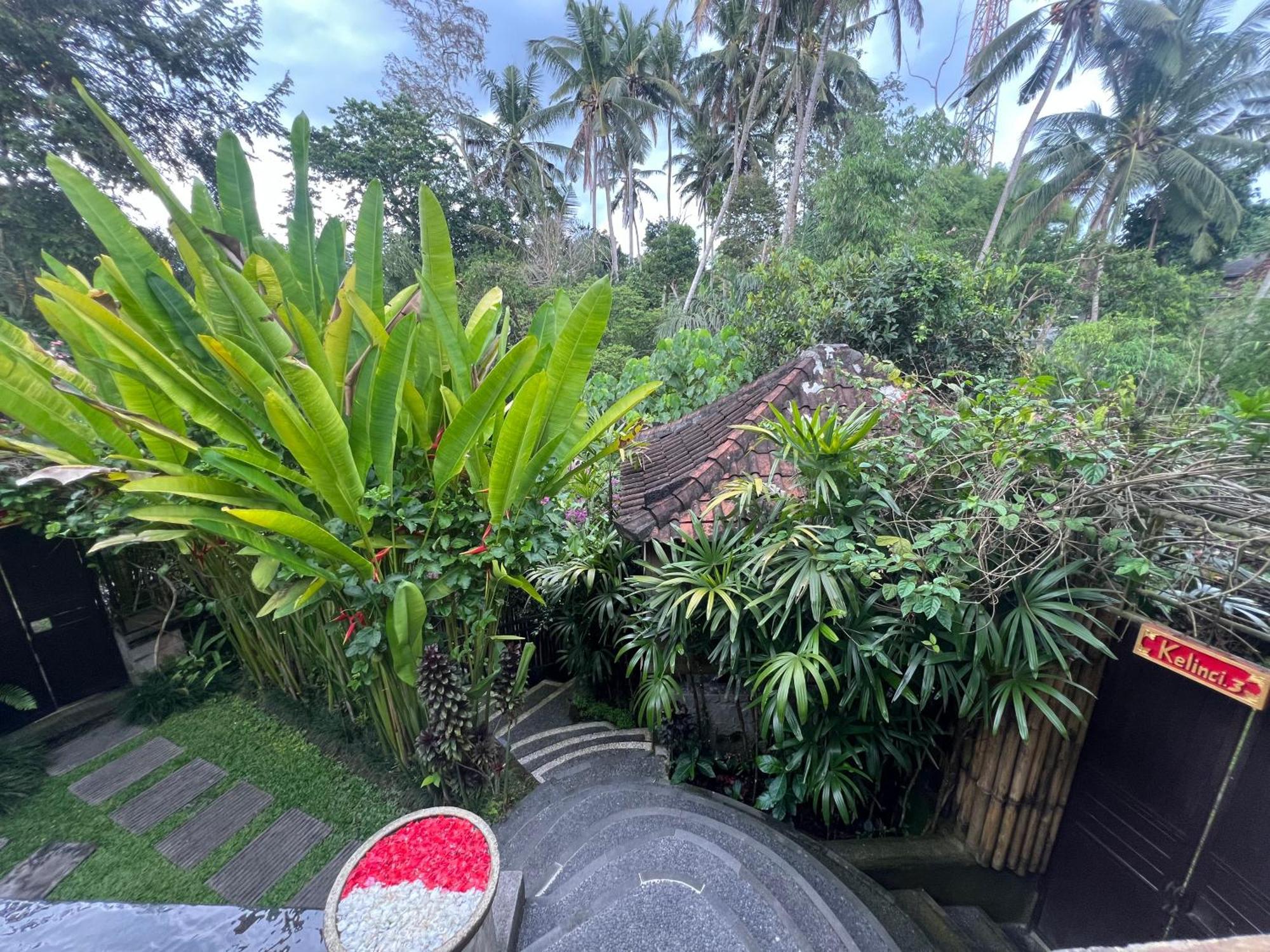 Rumah Kelinci