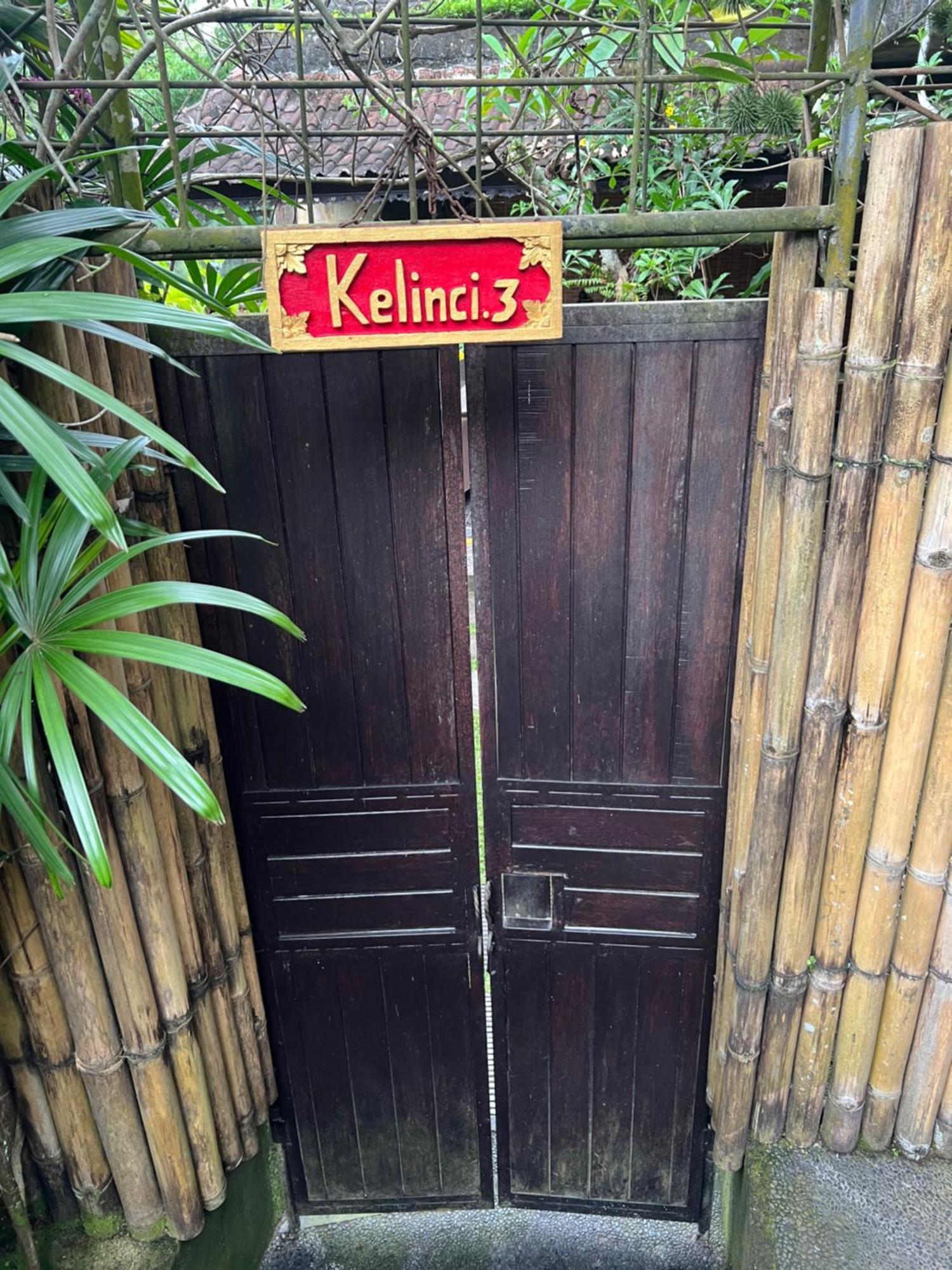 Rumah Kelinci *