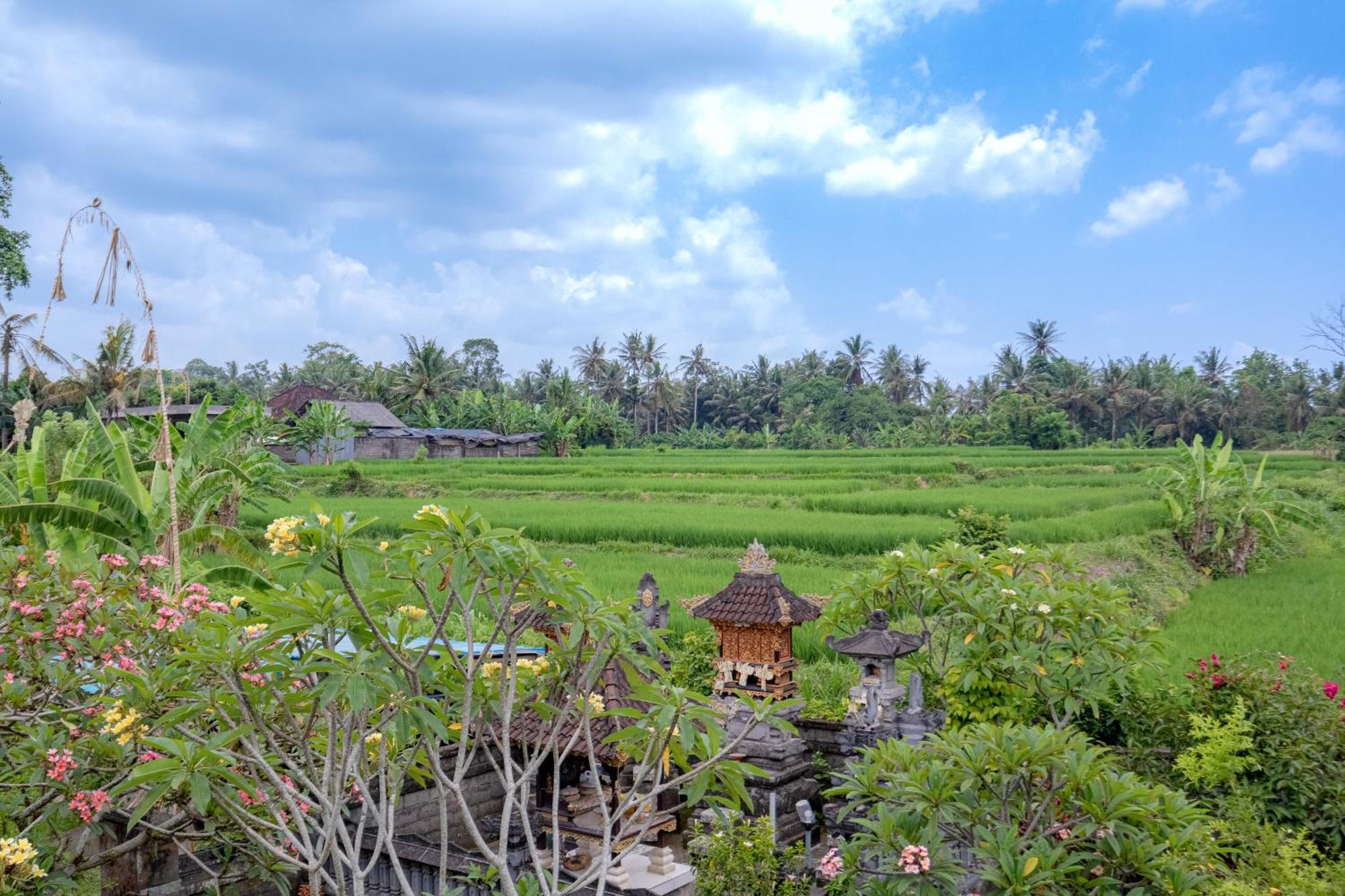 Villa Forest In Bali *