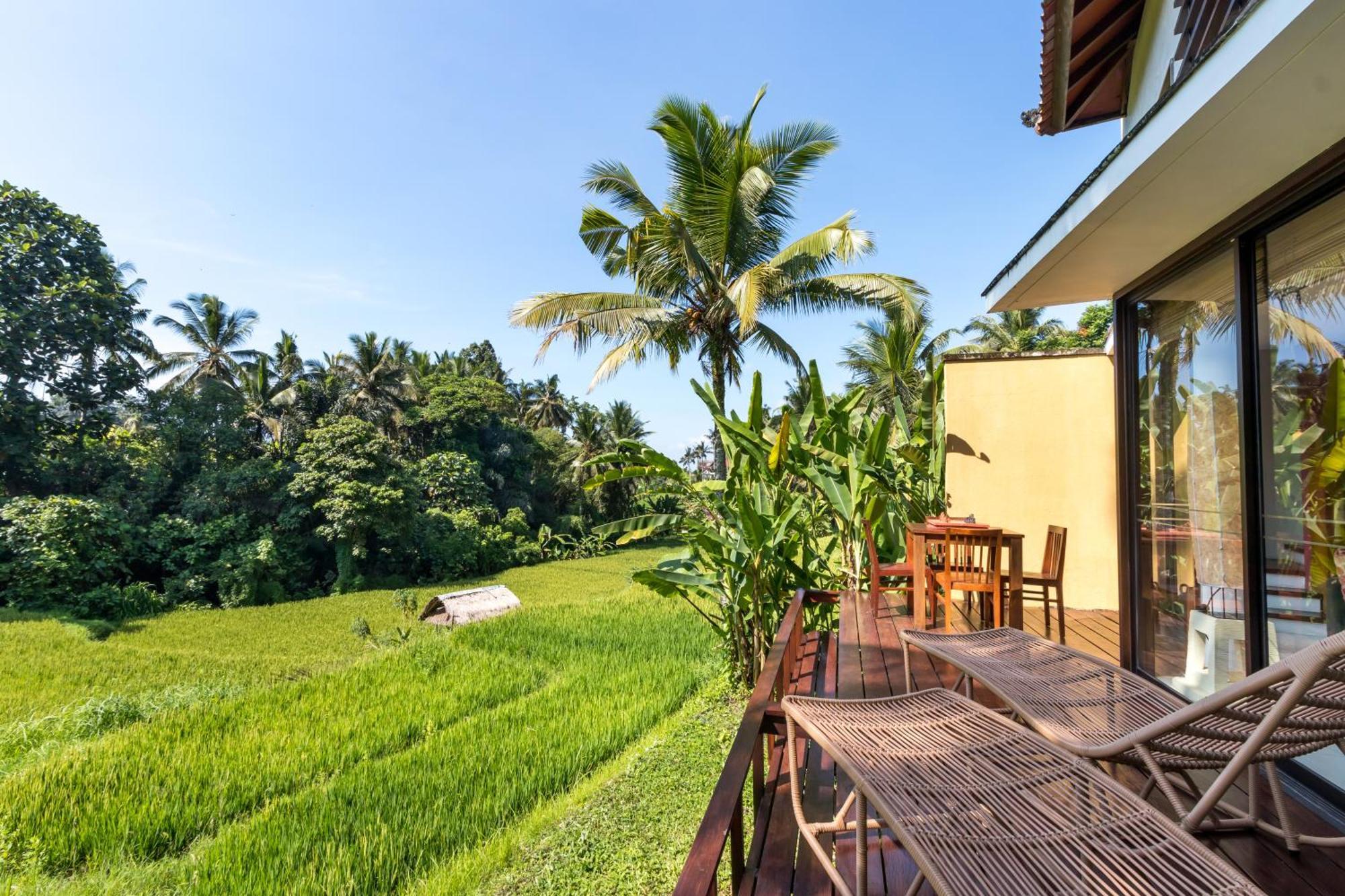 Powered By Archipelago 4* Ubud (Bali)