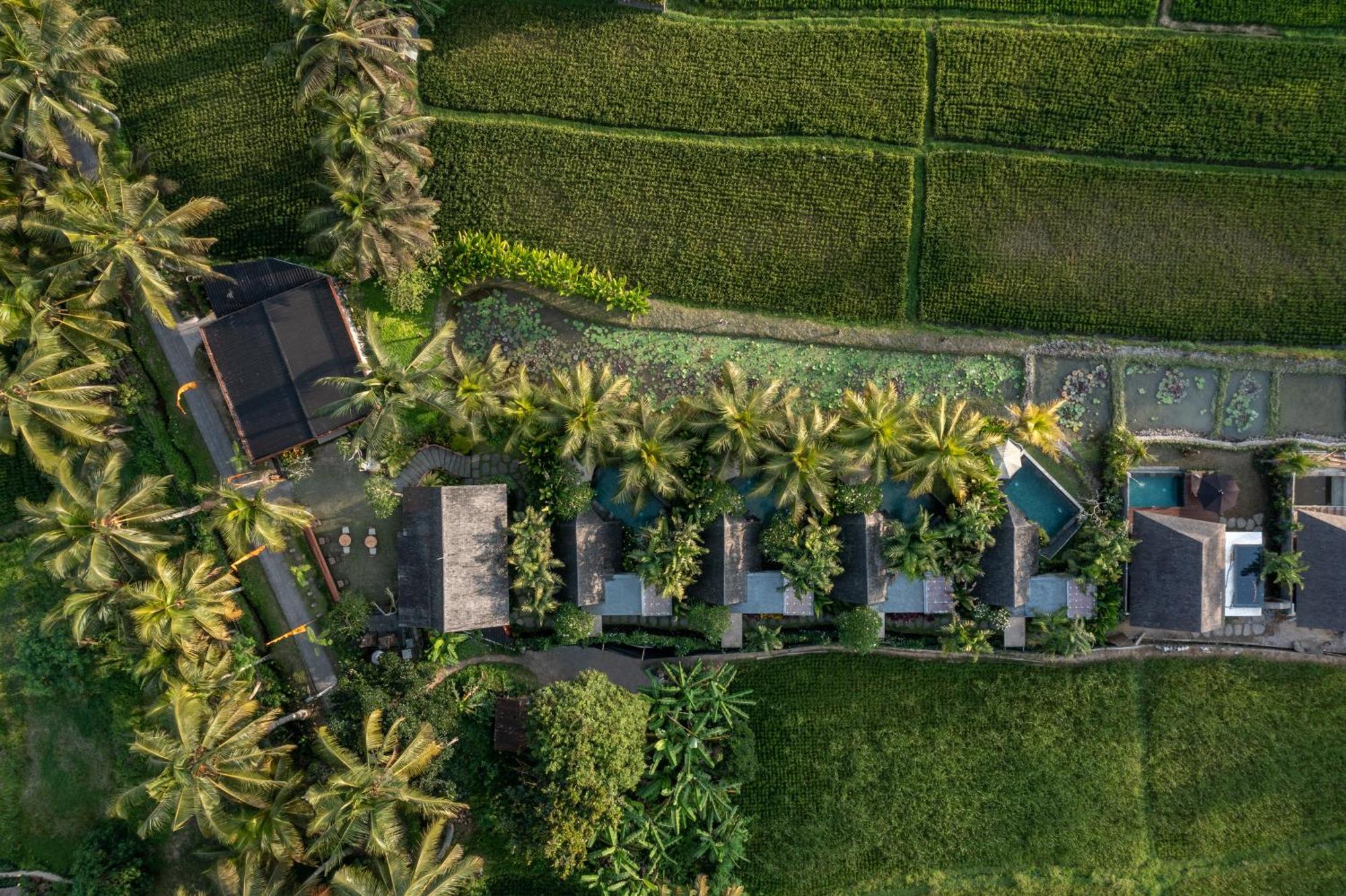 Lasamana By Pramana Vila Ubud (Bali)