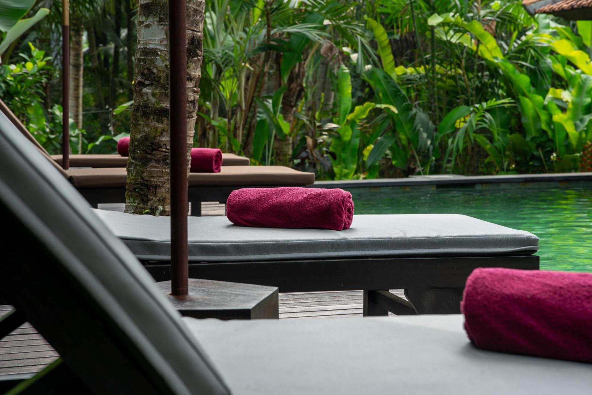 Mandala Wisma tamu Ubud (Bali)