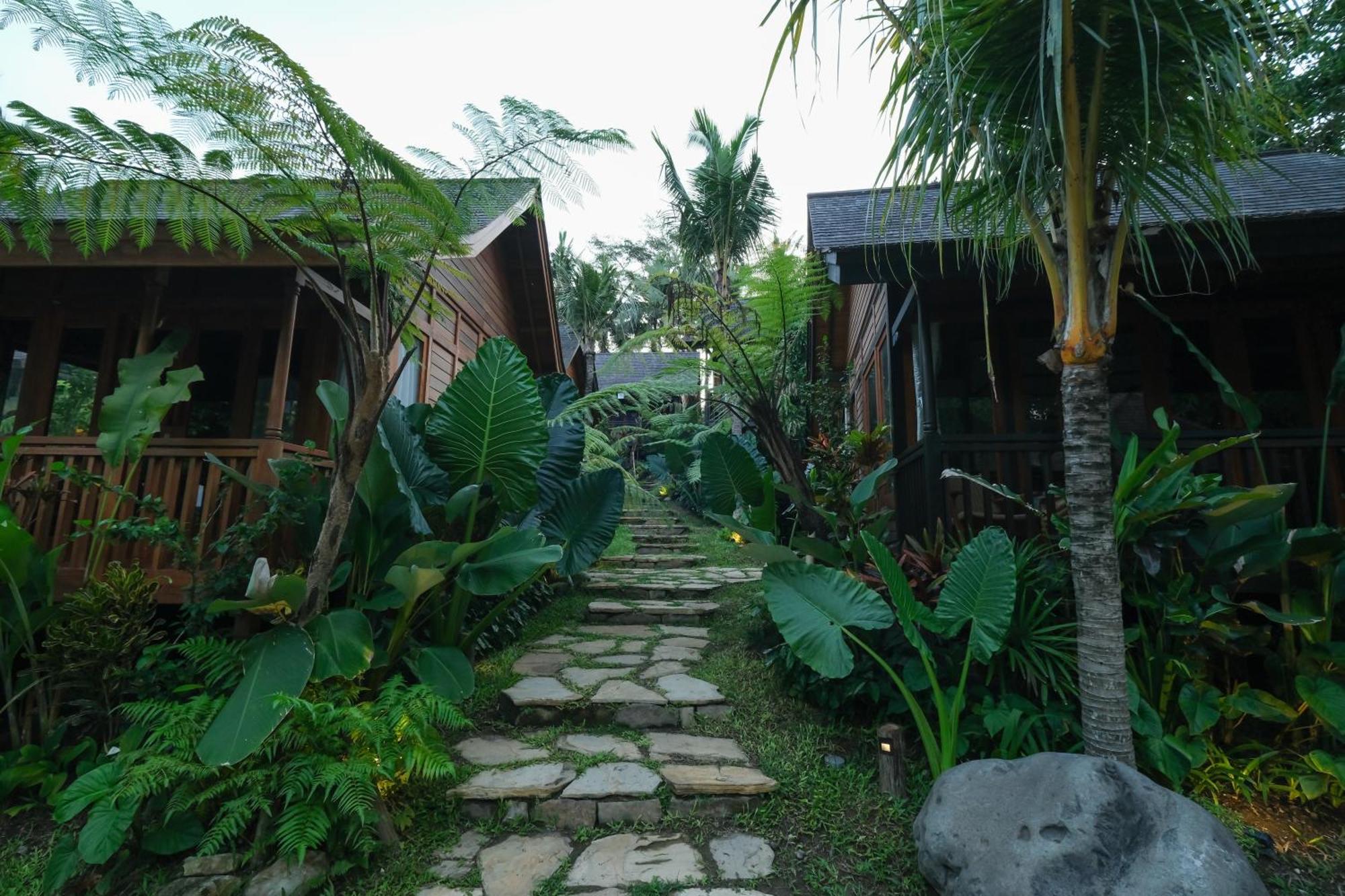 Samujha * Ubud (Bali)