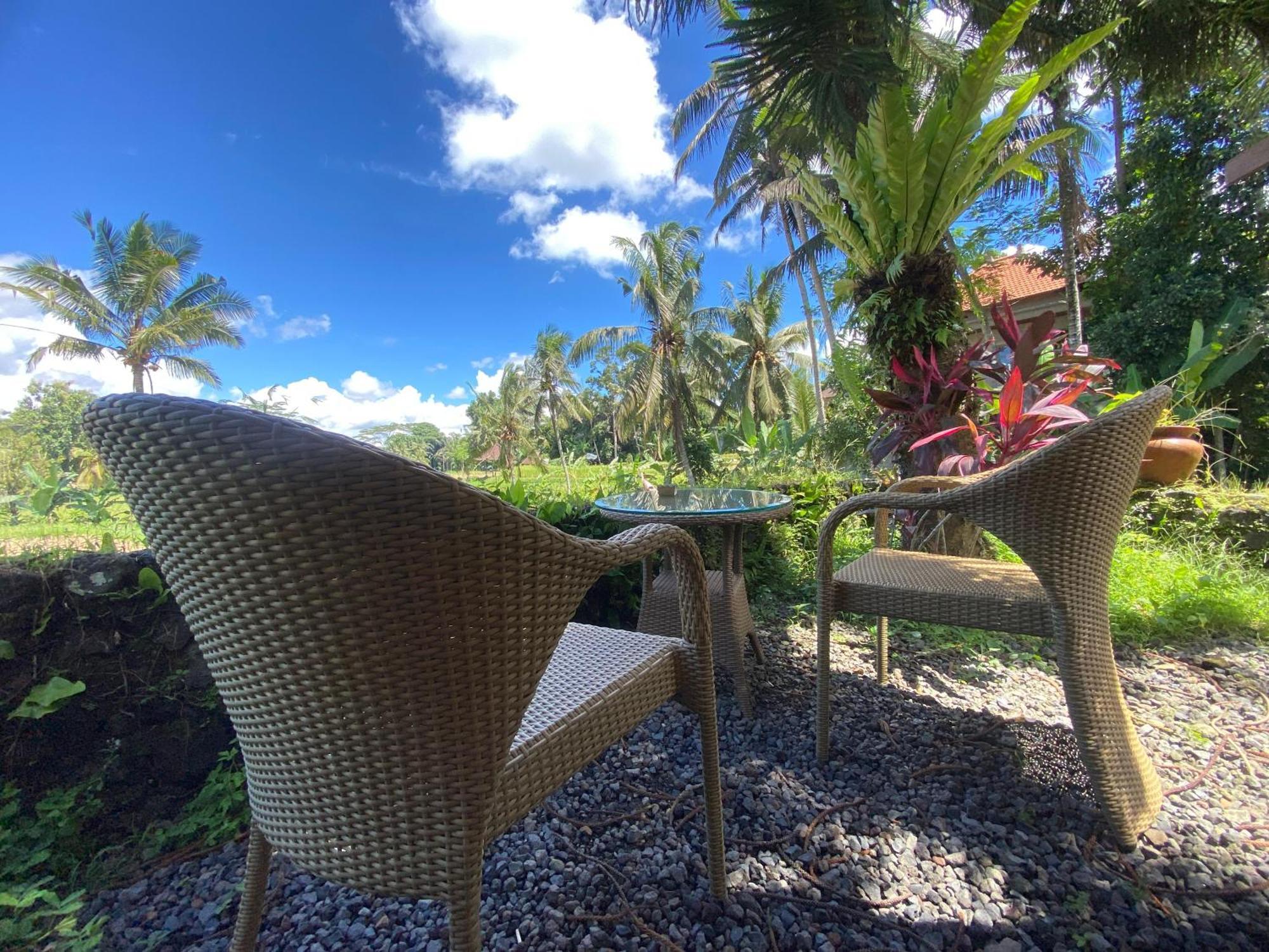 Akasha New Earth Haven Ubud (Bali)