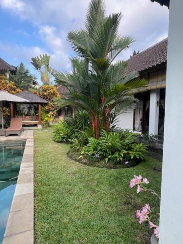Villa Exotica Ubud (Bali)