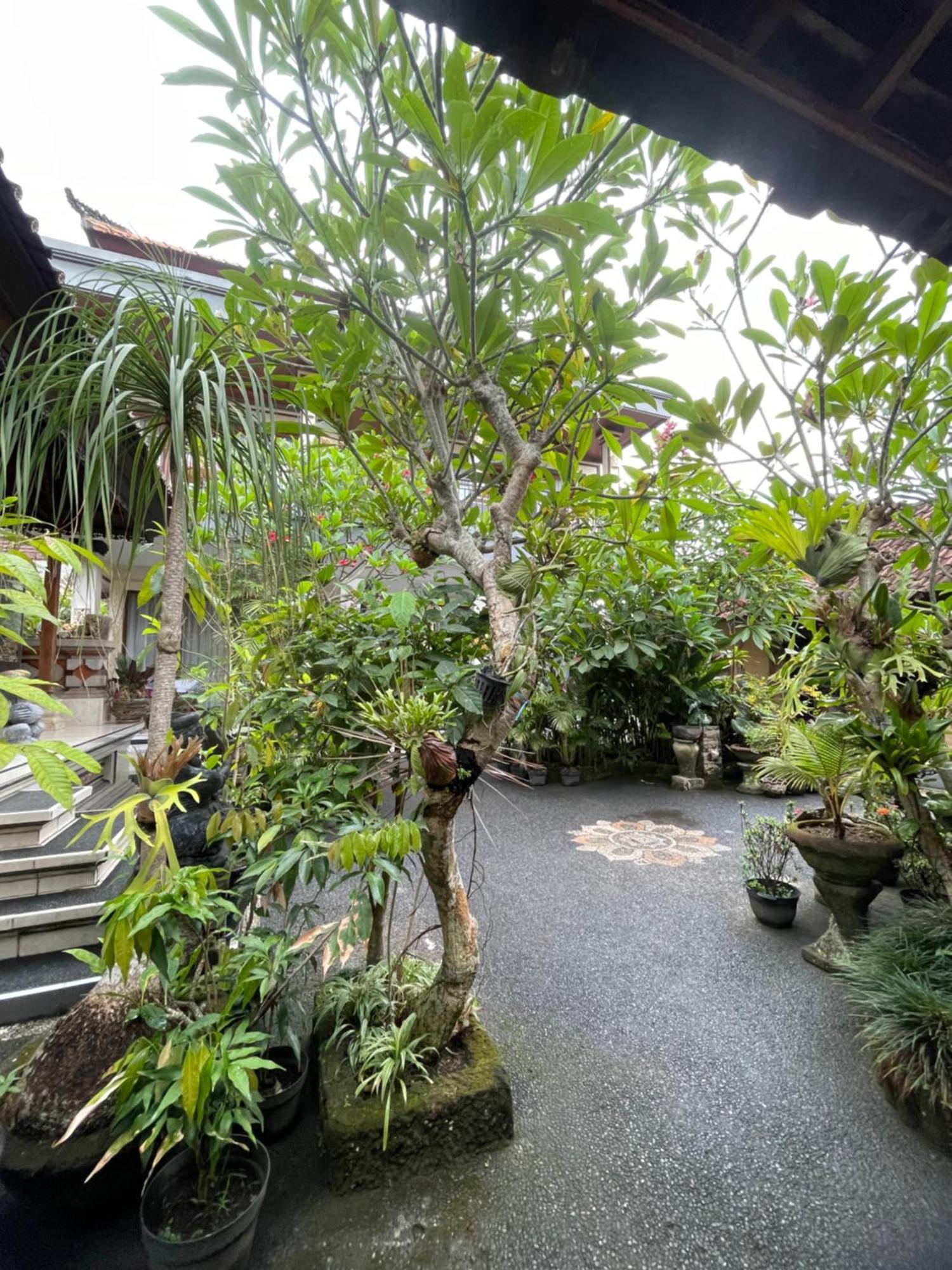 Homestay Suntari *