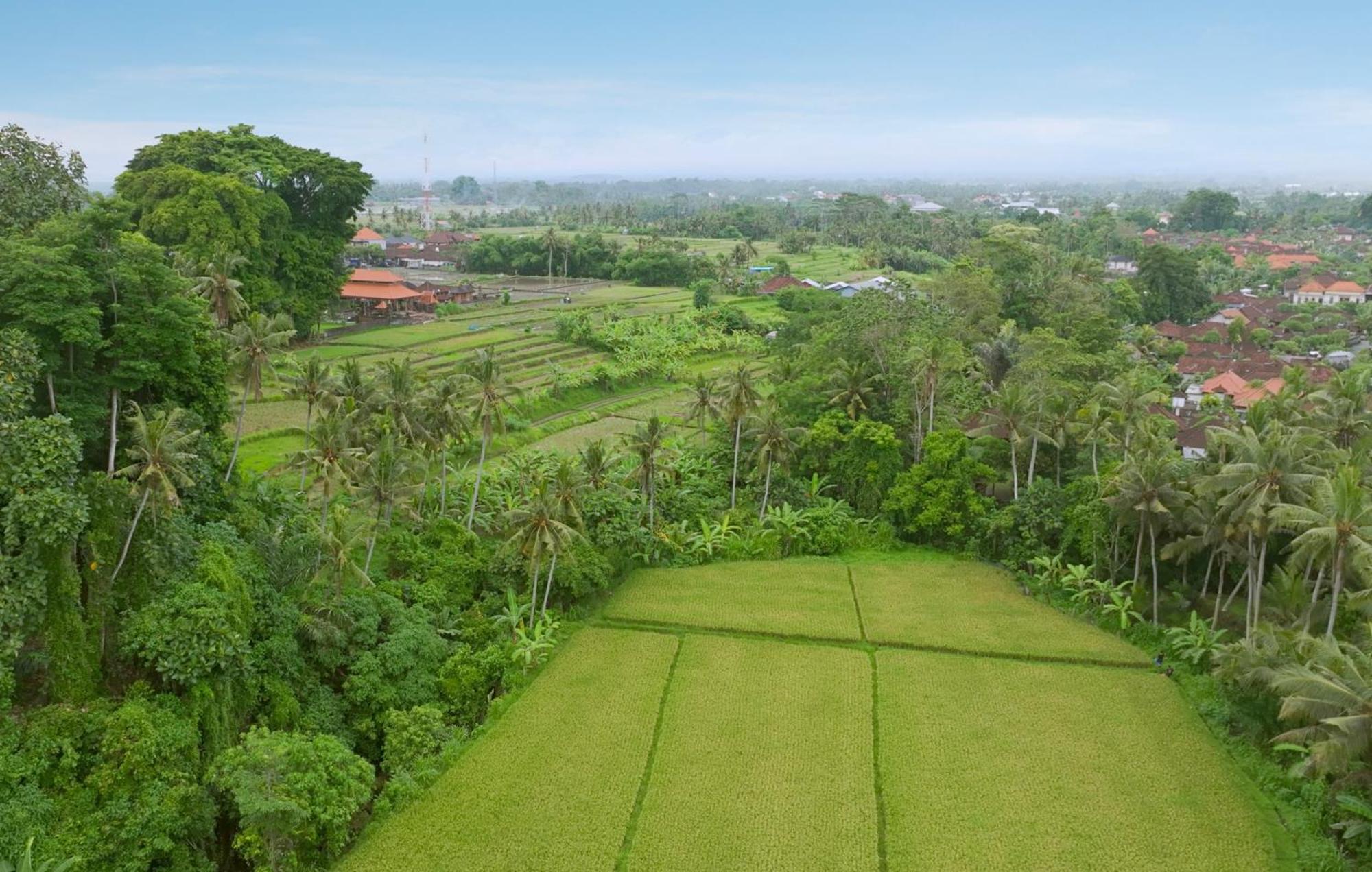Garden By Breig Villa Ubud (Bali)
