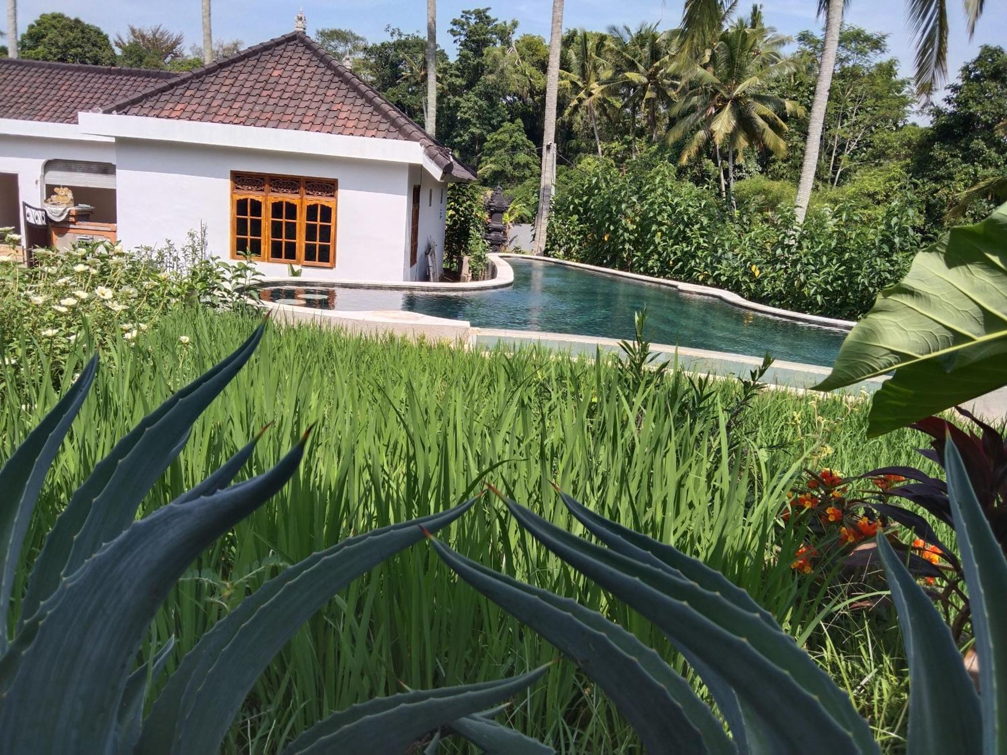 The Puriana Mantun Lodge Ubud (Bali)