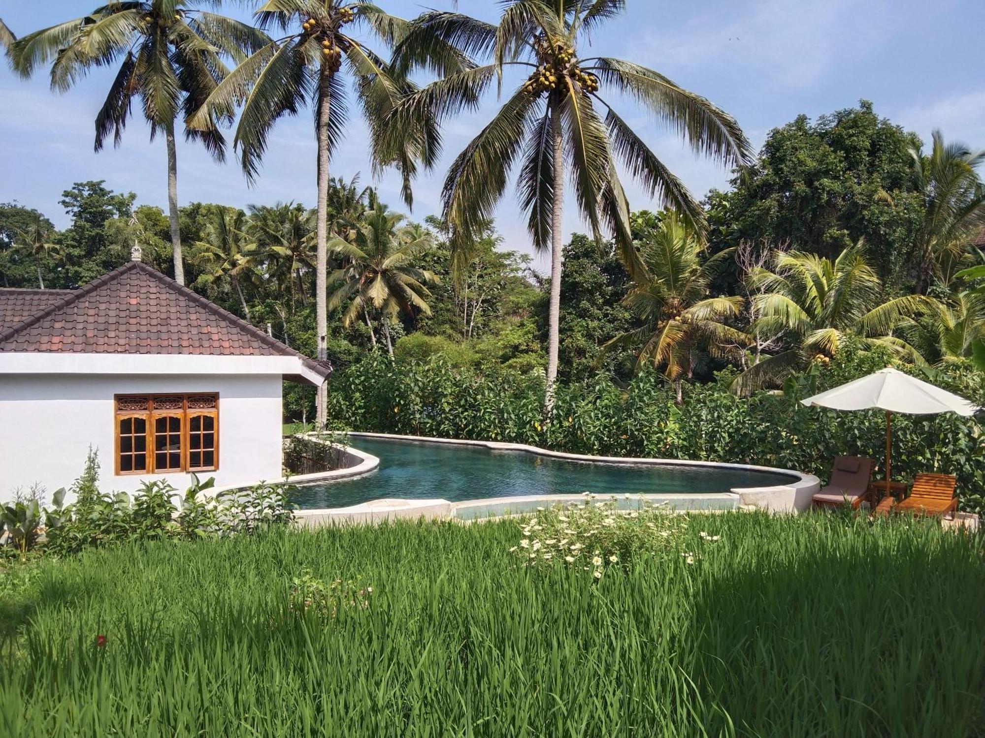The Puriana Mantun Lodge *