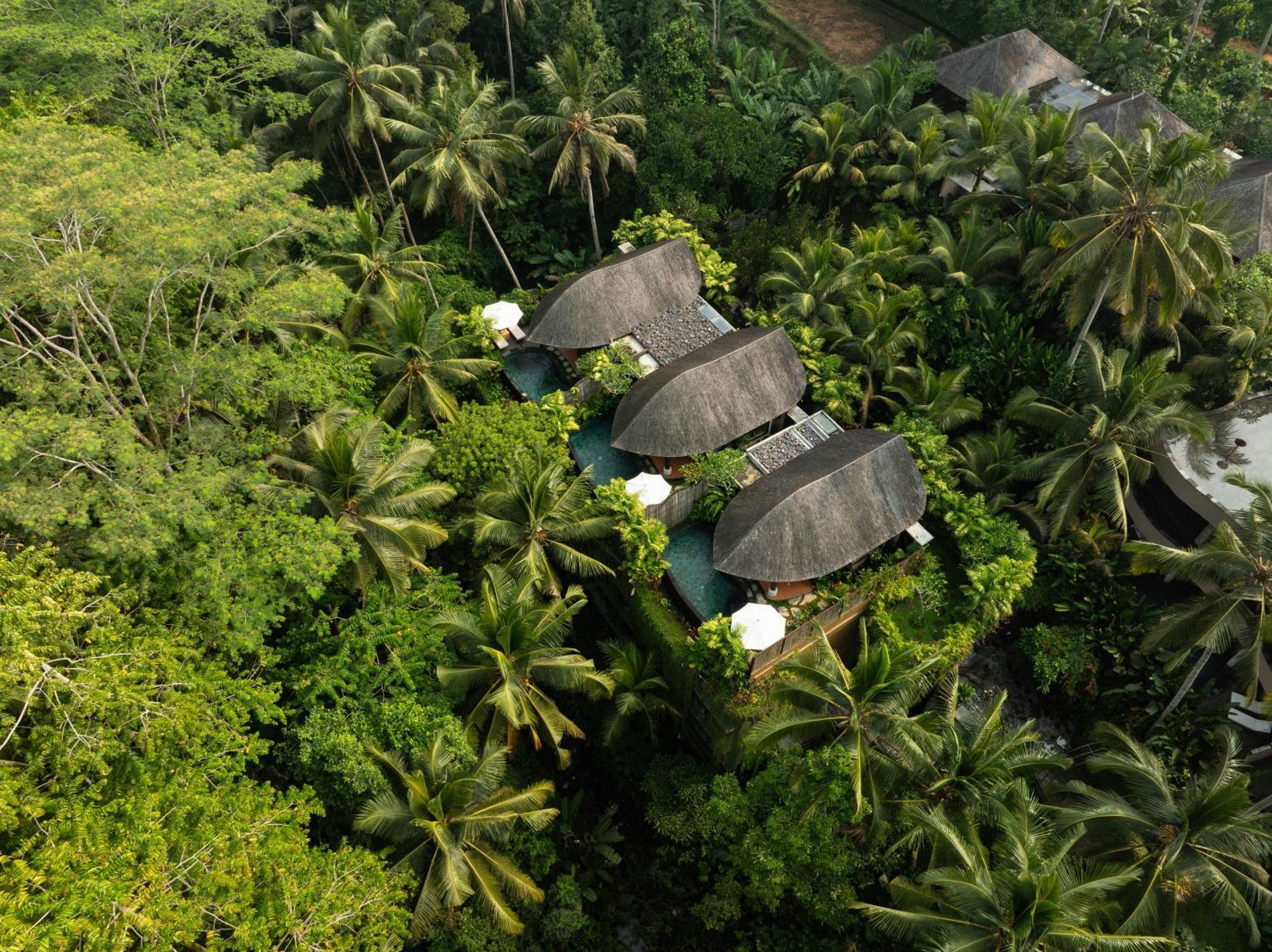 Abisena Wellness & Ubud-adult Only 5*
