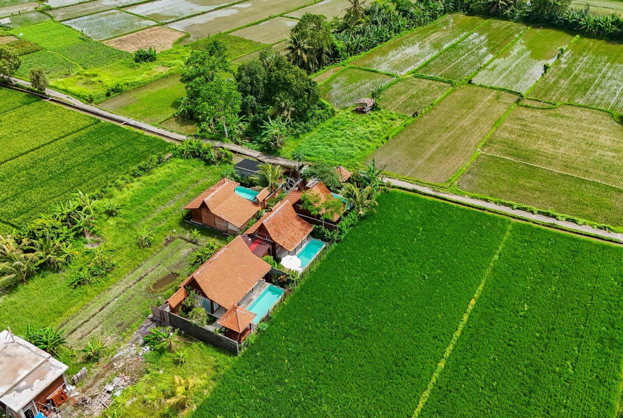 Rumah Tengah Sawah *