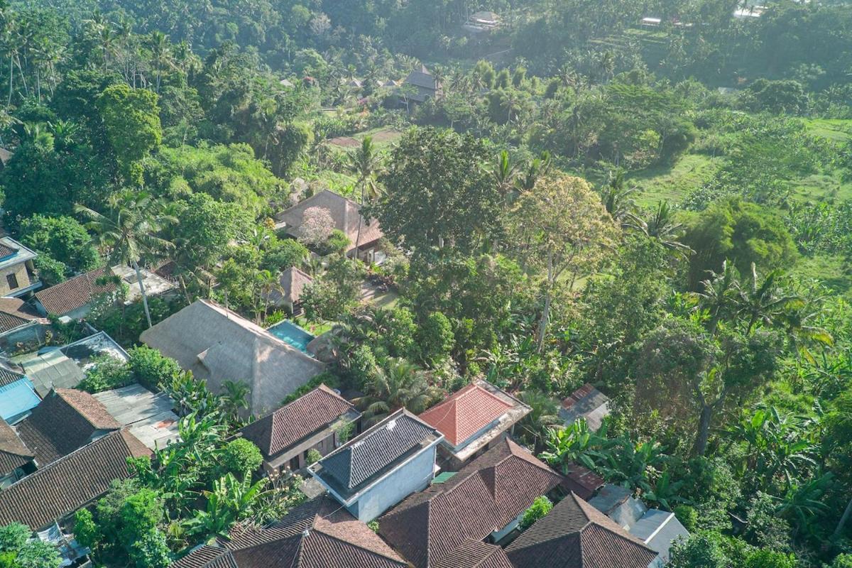 Shanti * Ubud