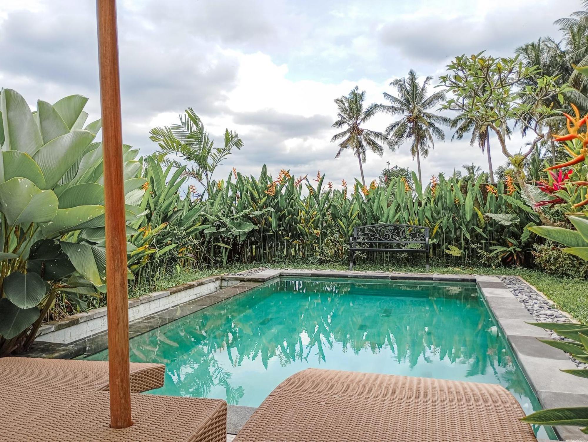 Nyoman Sandat House 2 Bed & Breakfast *