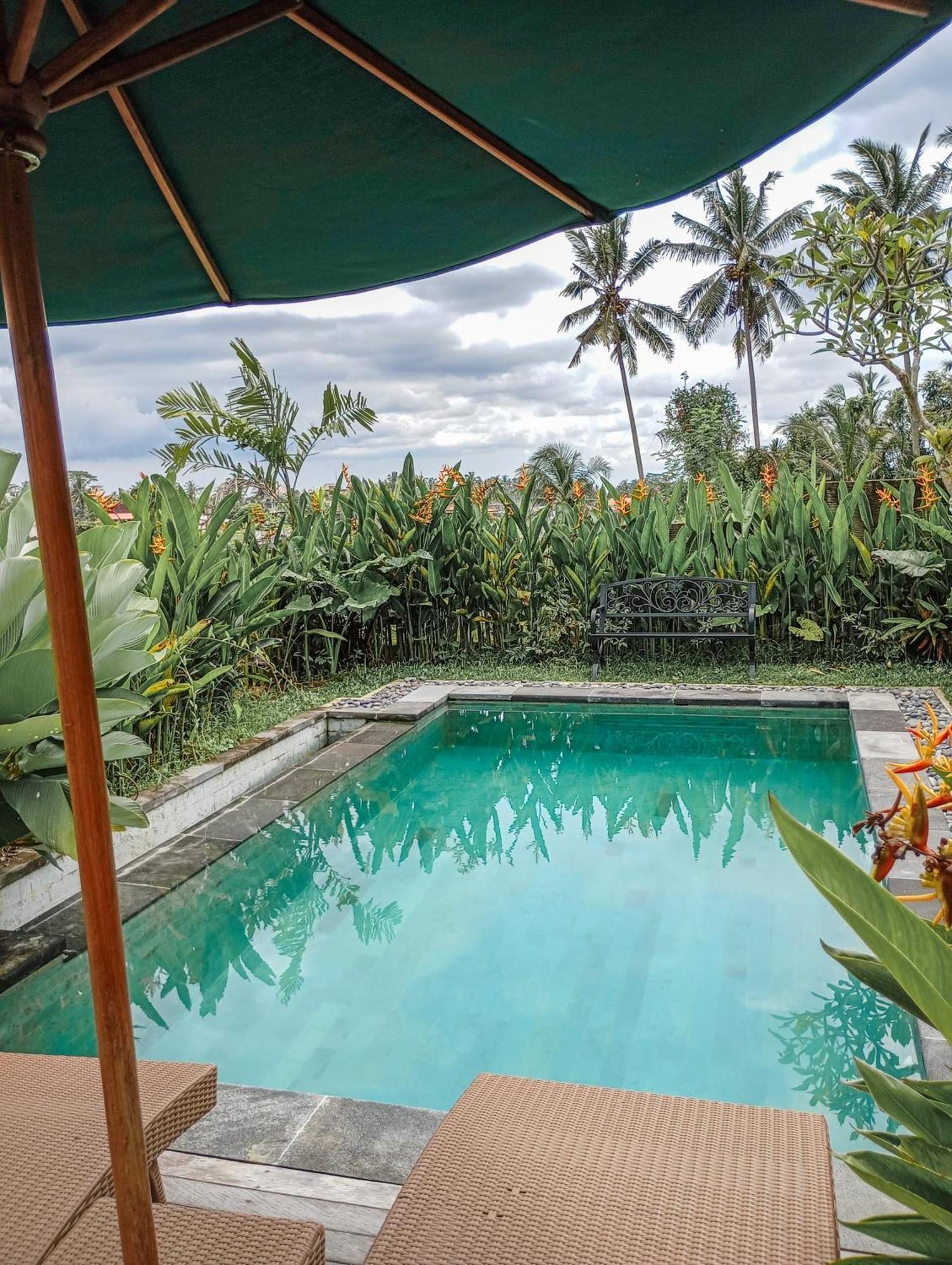 Bed & Breakfast Nyoman Sandat House 2