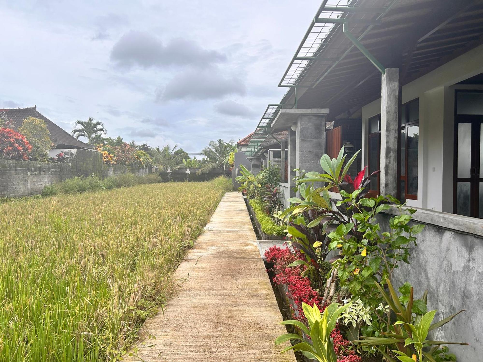 Apartment Ketut's Place Penestanan