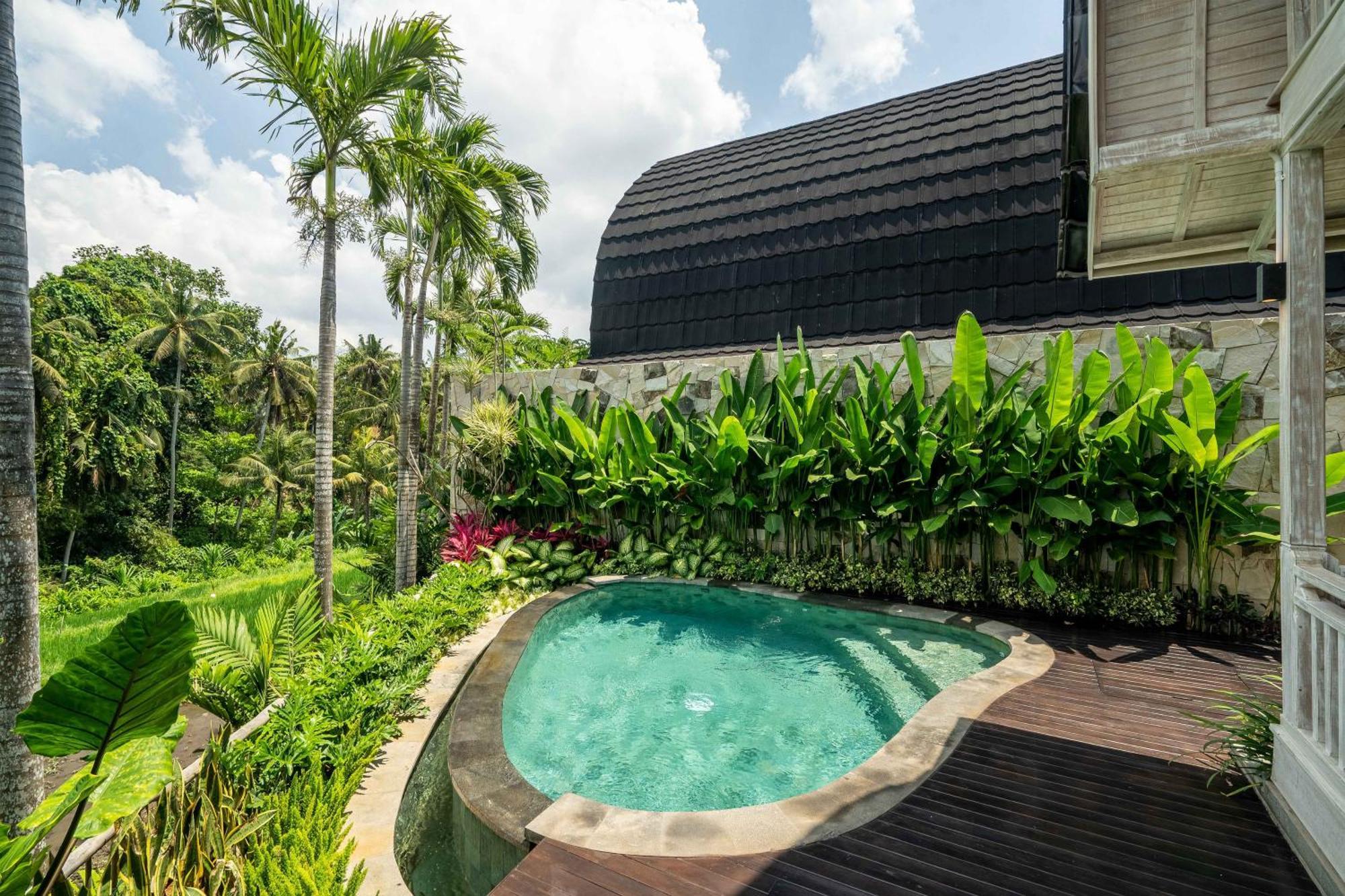 Rimba By Serenity *