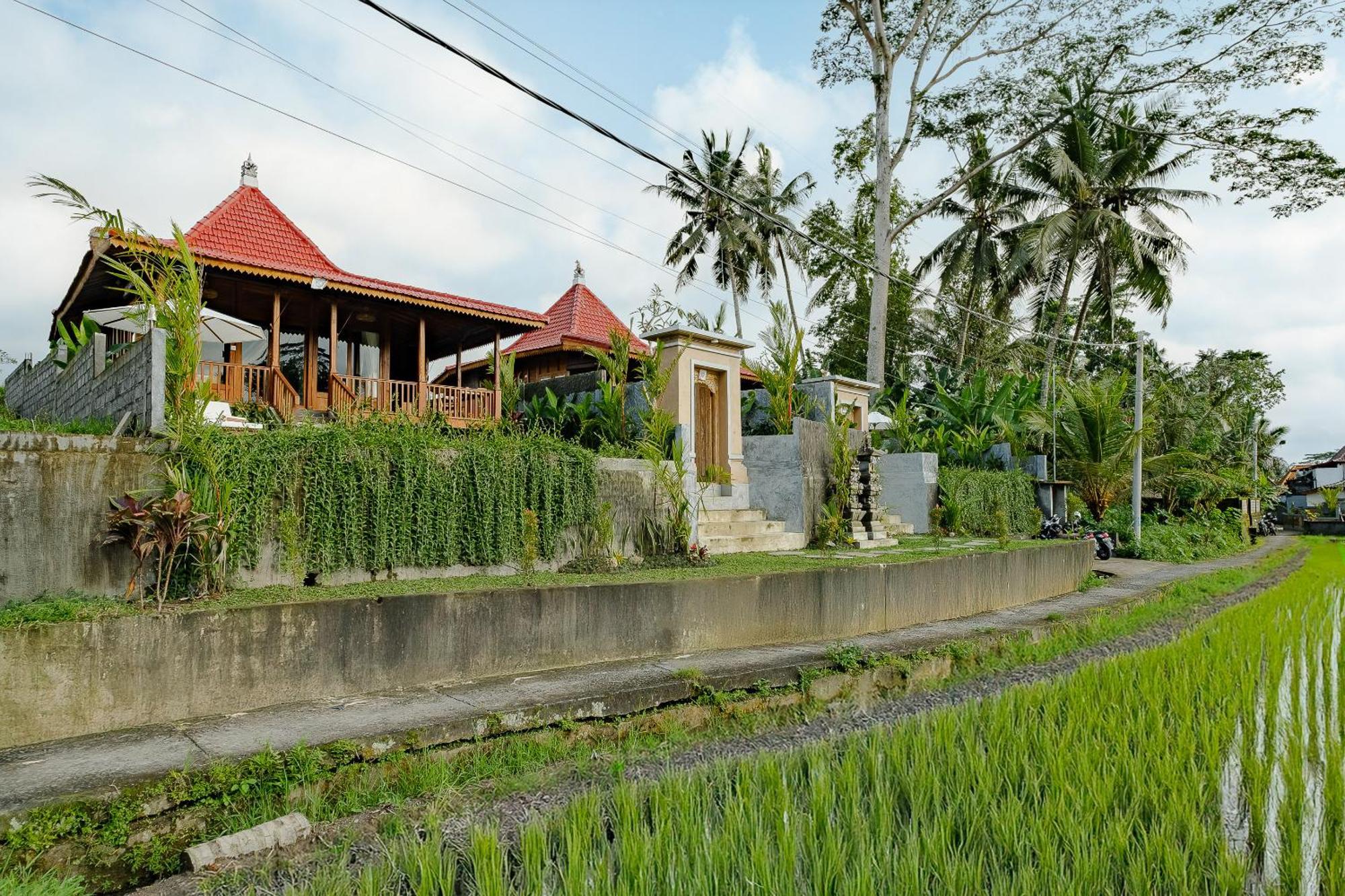 Villa Carik Mesari Ubud (Bali)