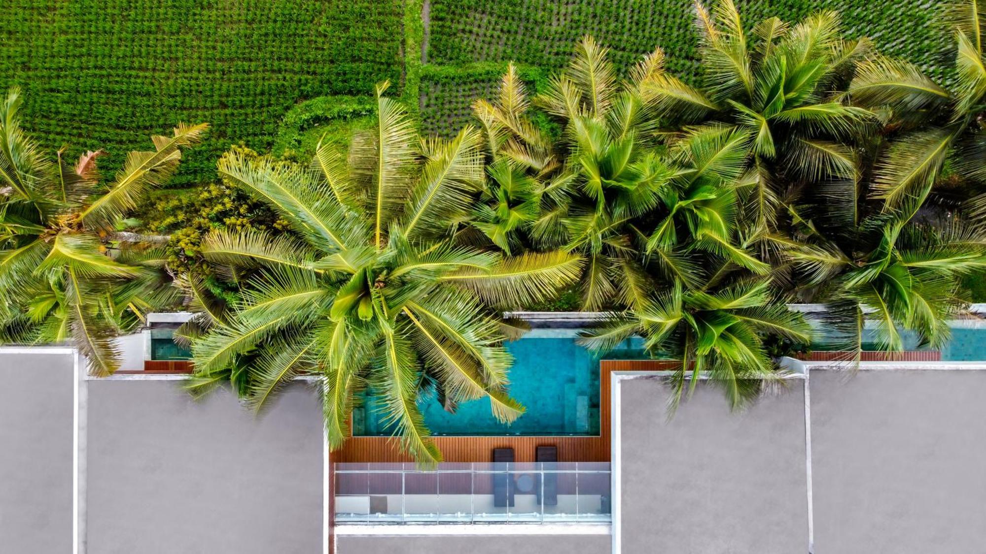 Euphoria Villa