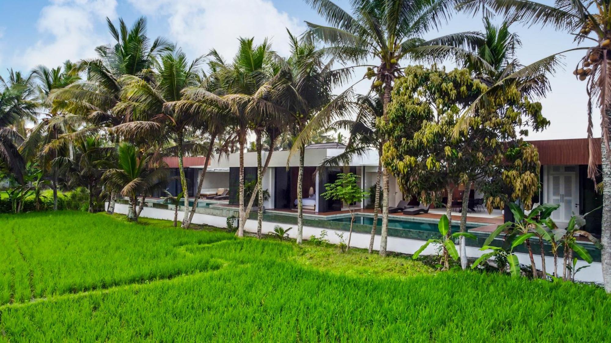 Euphoria Villa Ubud (Bali)