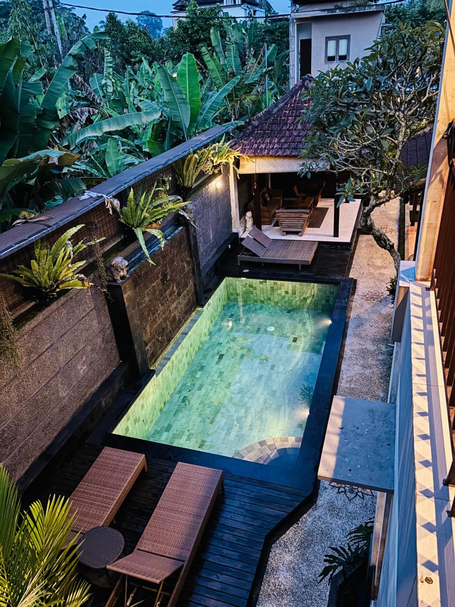Uma Padi