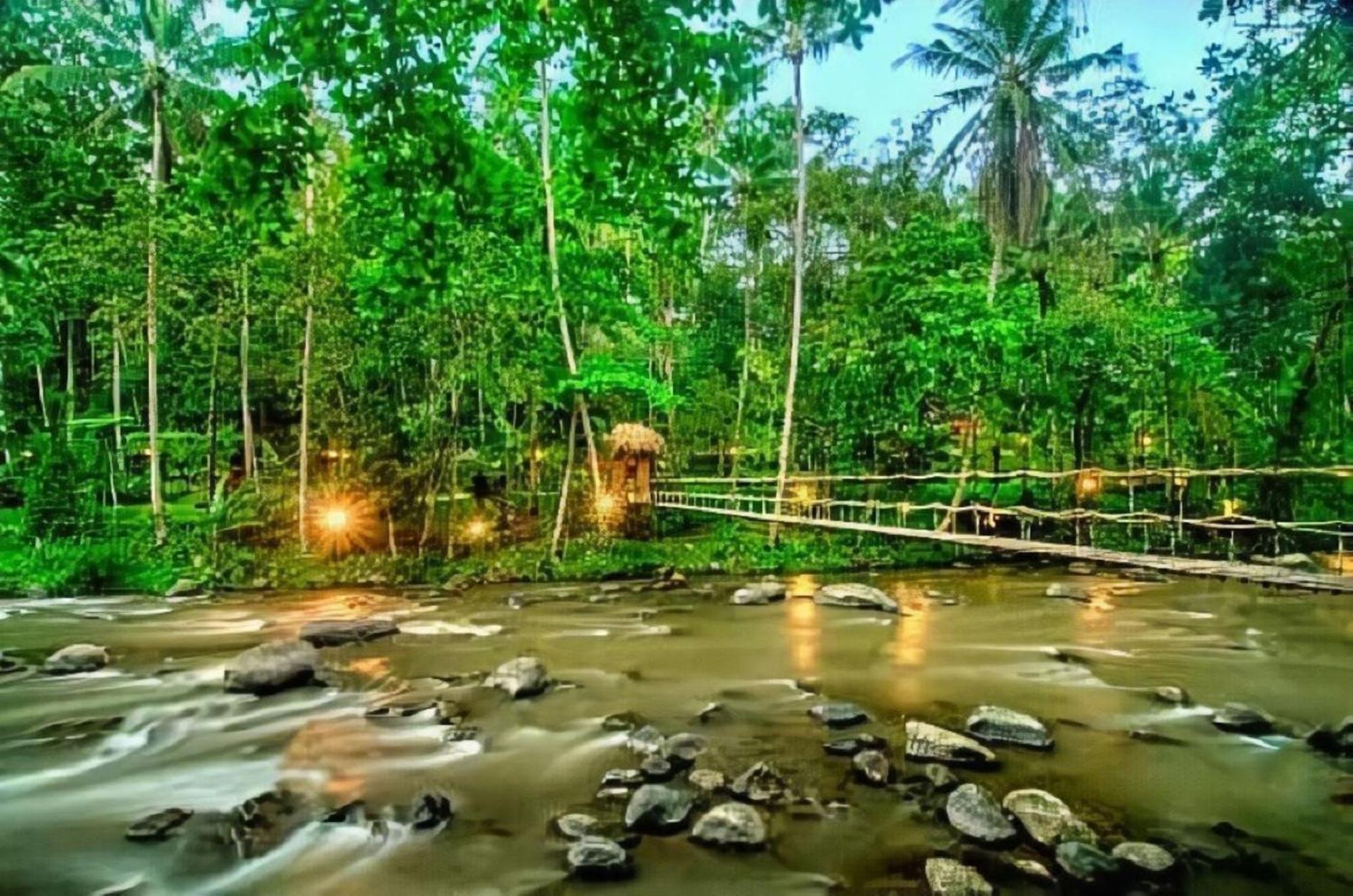 Permata Ayung Private Estate (adults Only) *