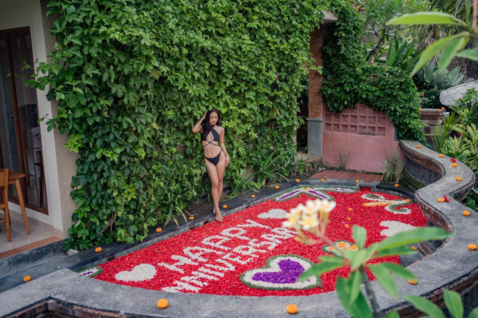 Katil Susi Ubud (Bali)