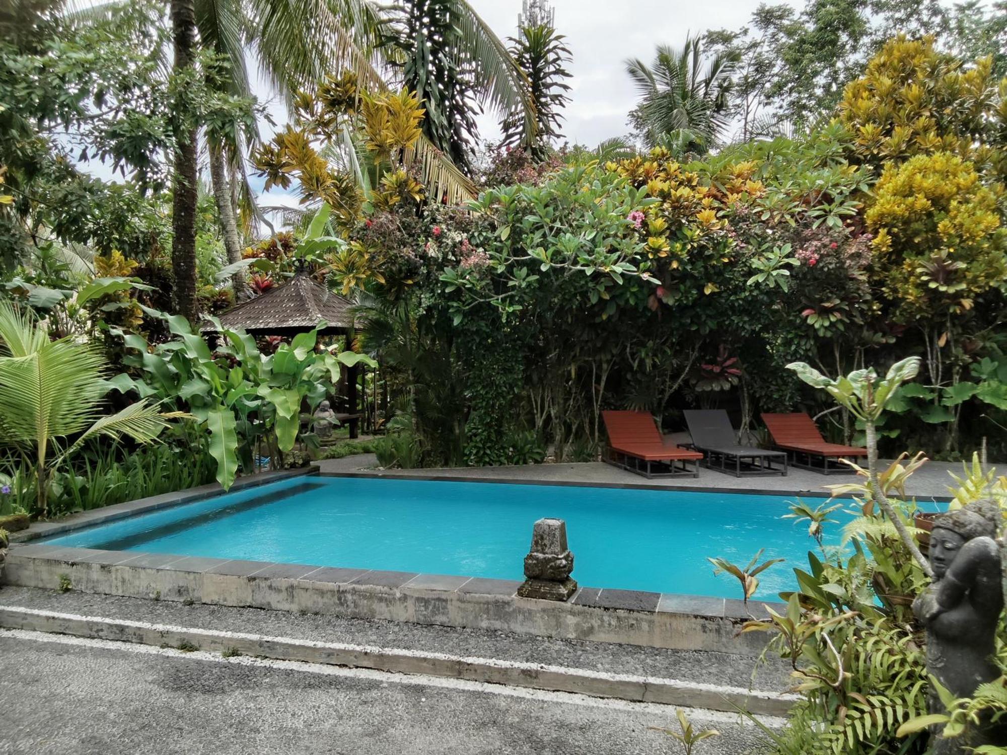 Apartment Jungle Hideaway - Newly Renovated Formerly Griya Bunga 2 - Unit 4