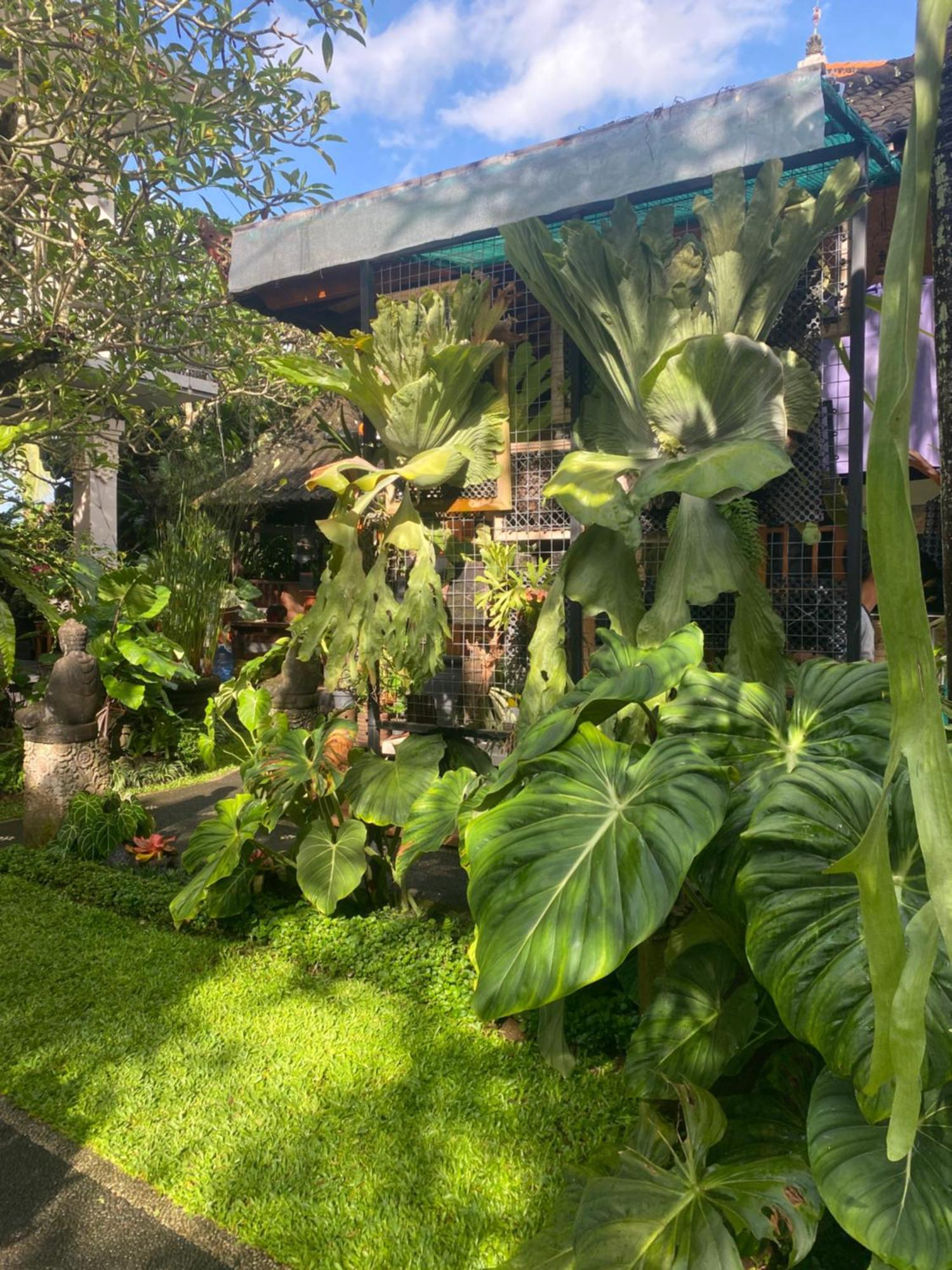 Suryadina Guest house *