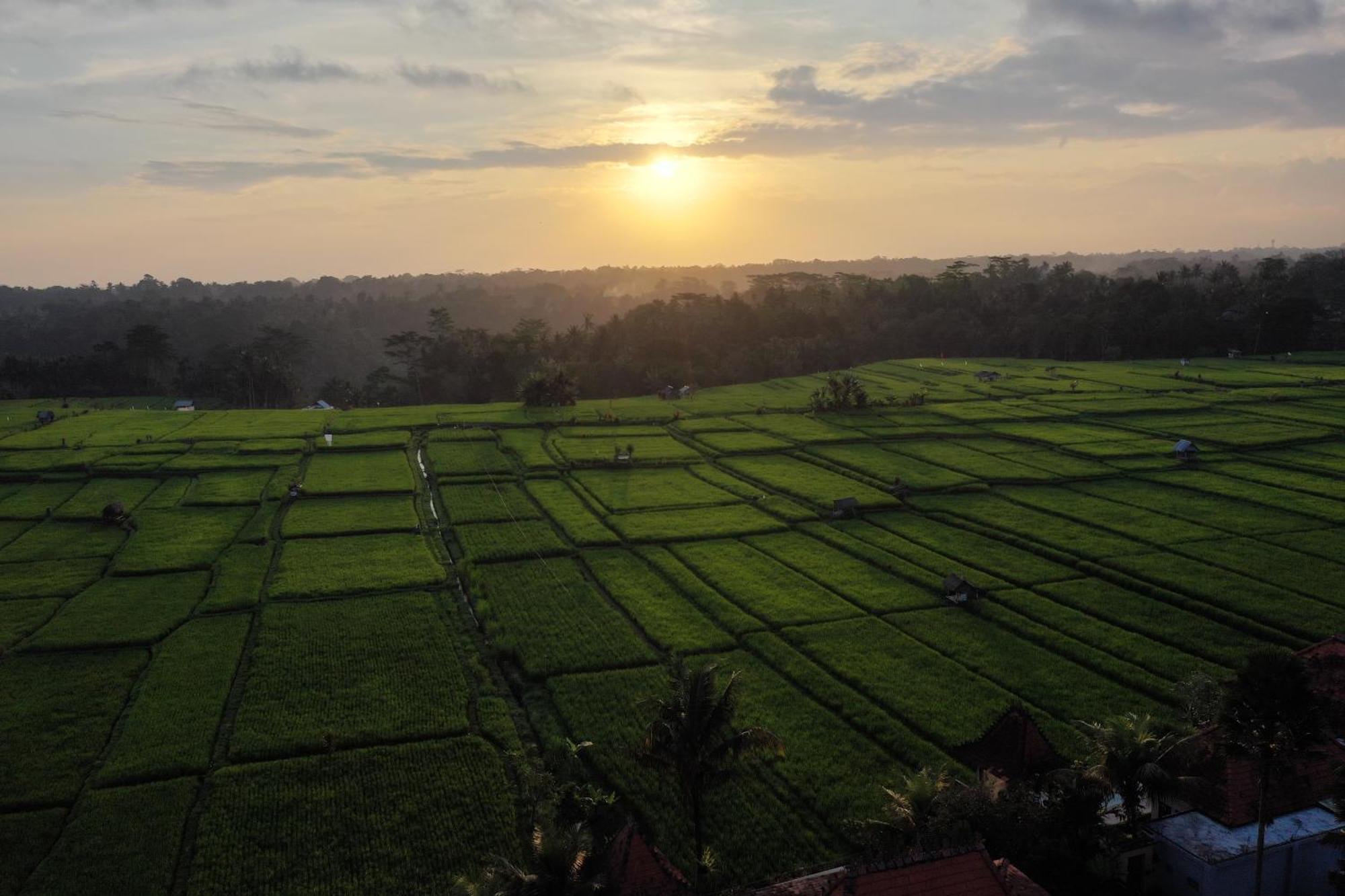 Umah Sunset Villa Ubud (Bali)