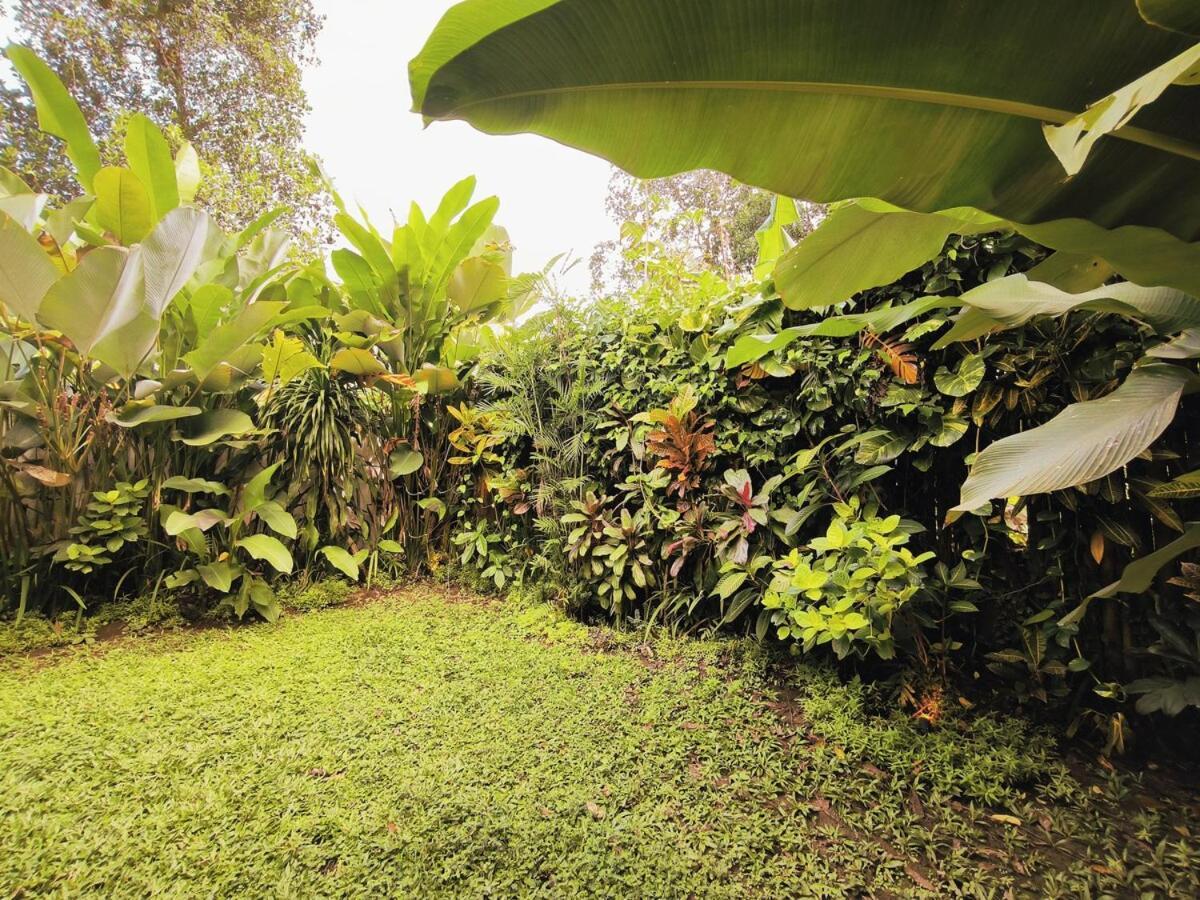 Cozy Private In Penestanan Villa