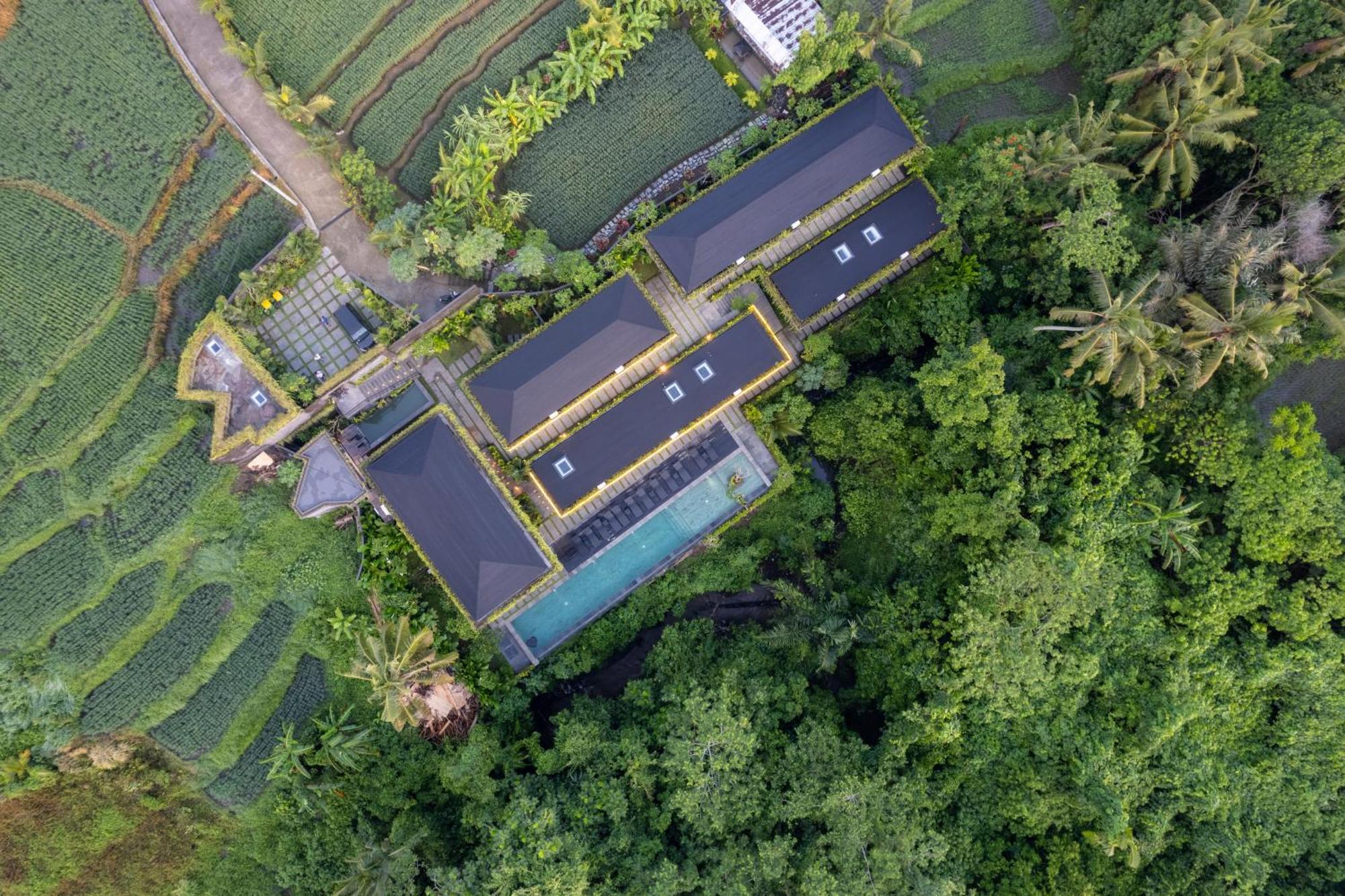 The Garden