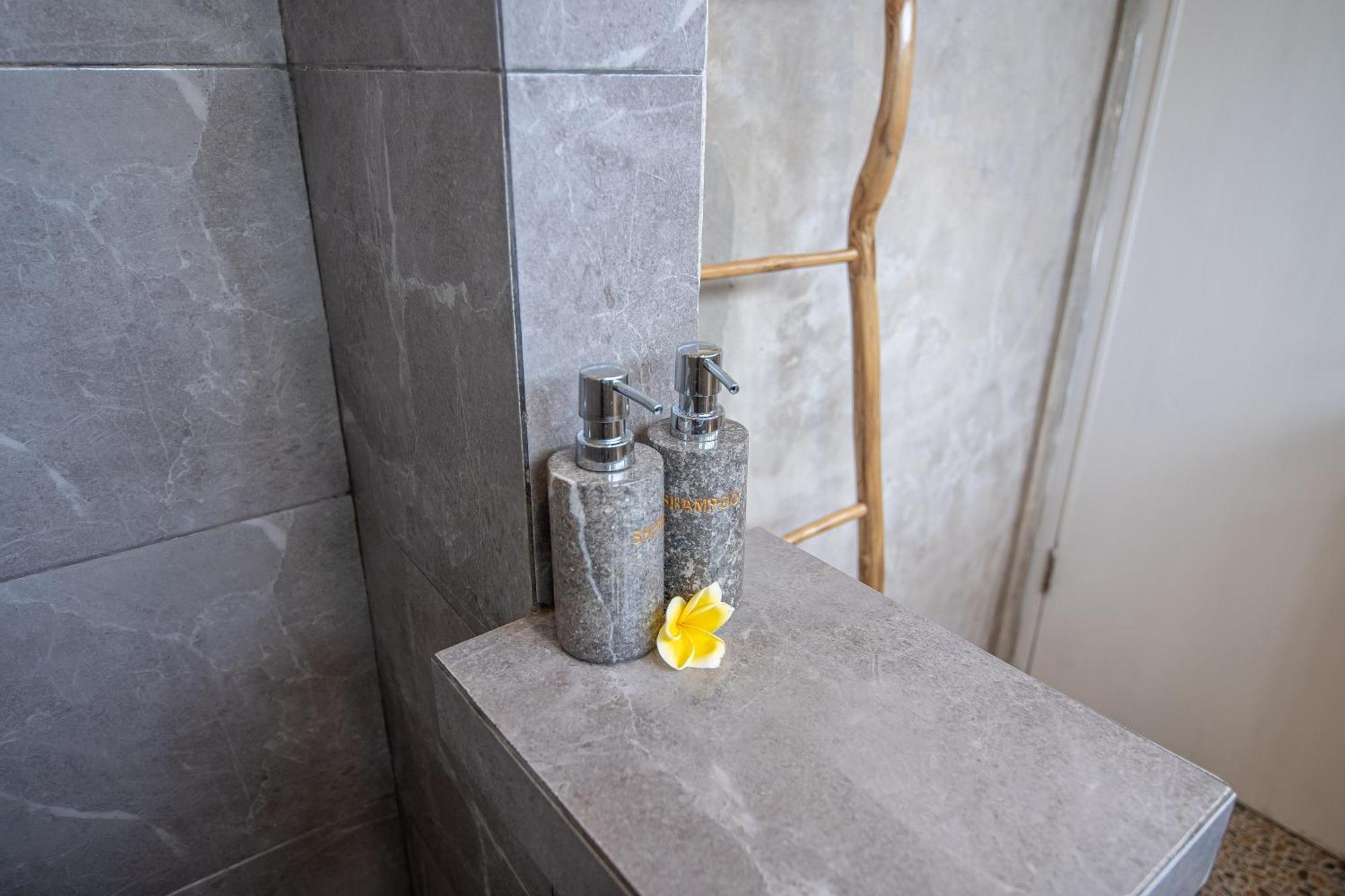Daysha Hotel Ubud (Bali)