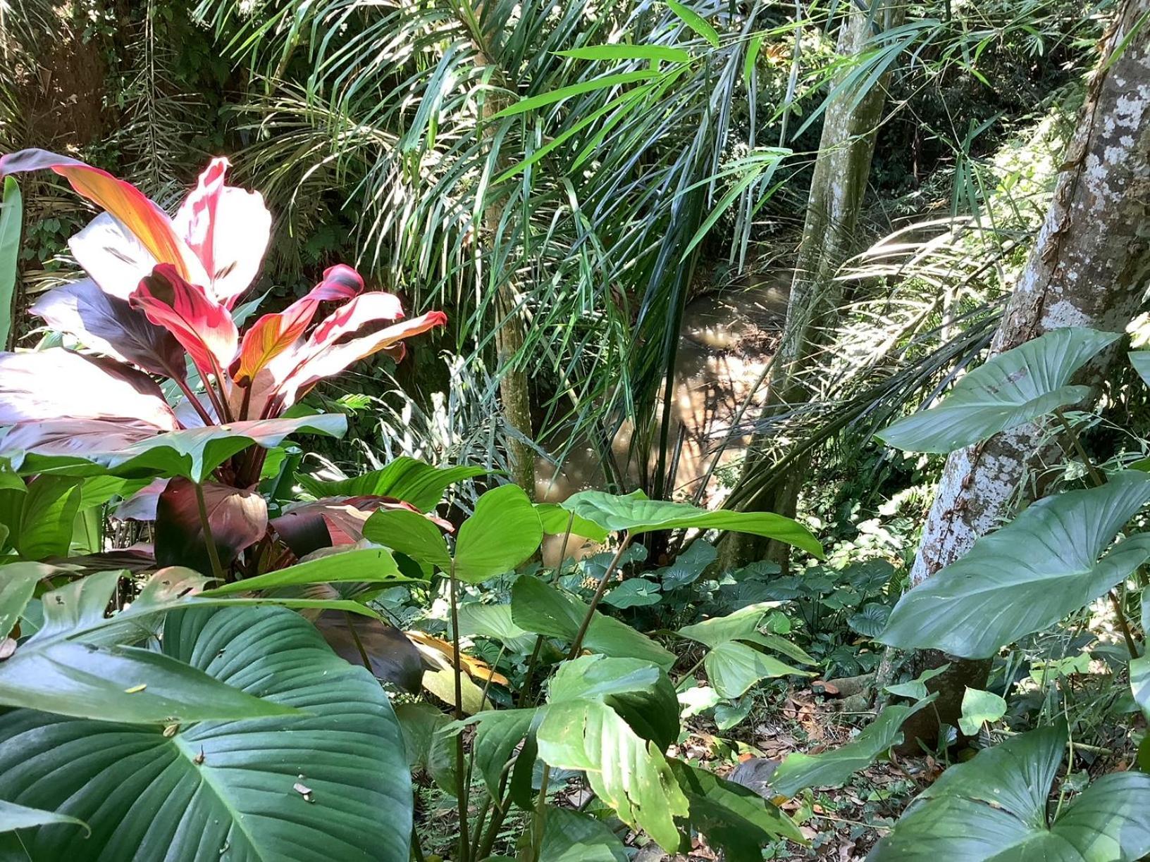 Jungle Hideaway - Newly Renovated Formerly Griya Bunga 2 - Unit 4 * Ubud (Bali)