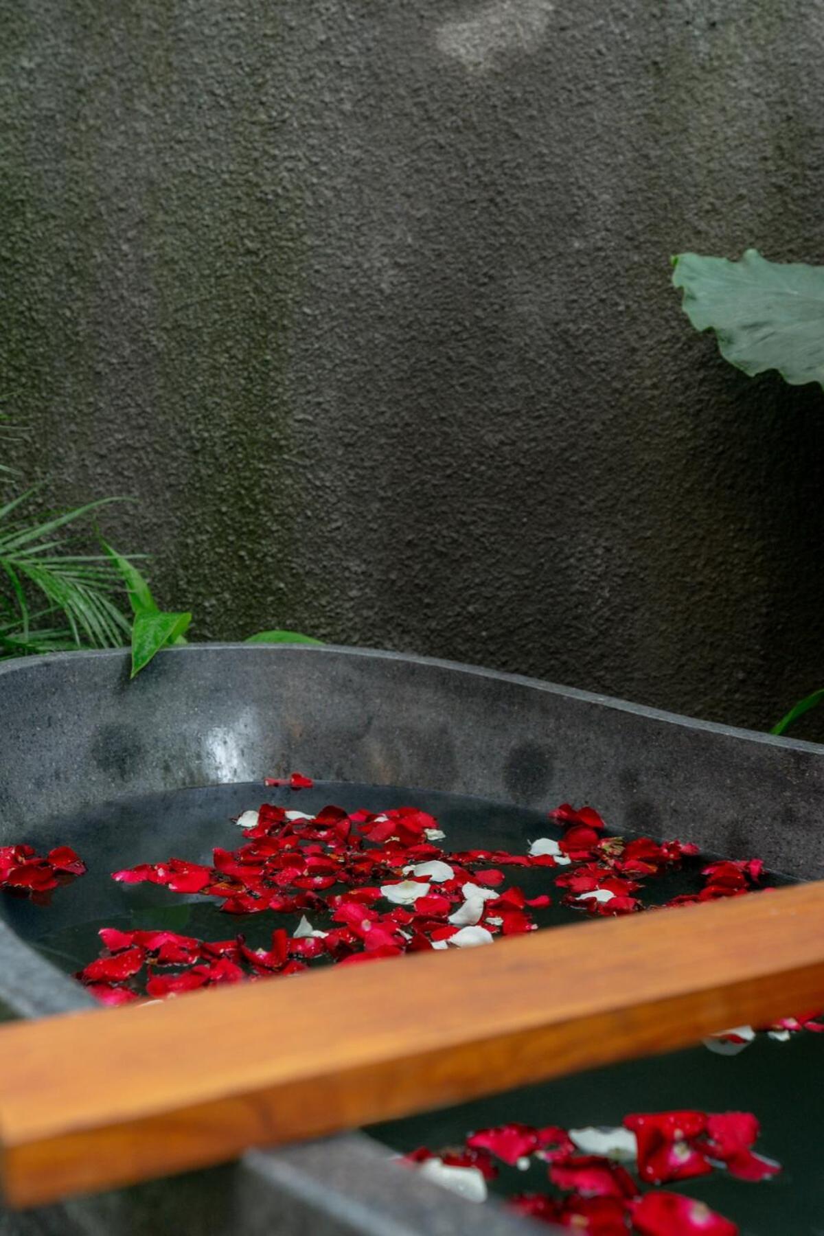Peaceful Villa,surrounded Nature Villa Ubud (Bali)