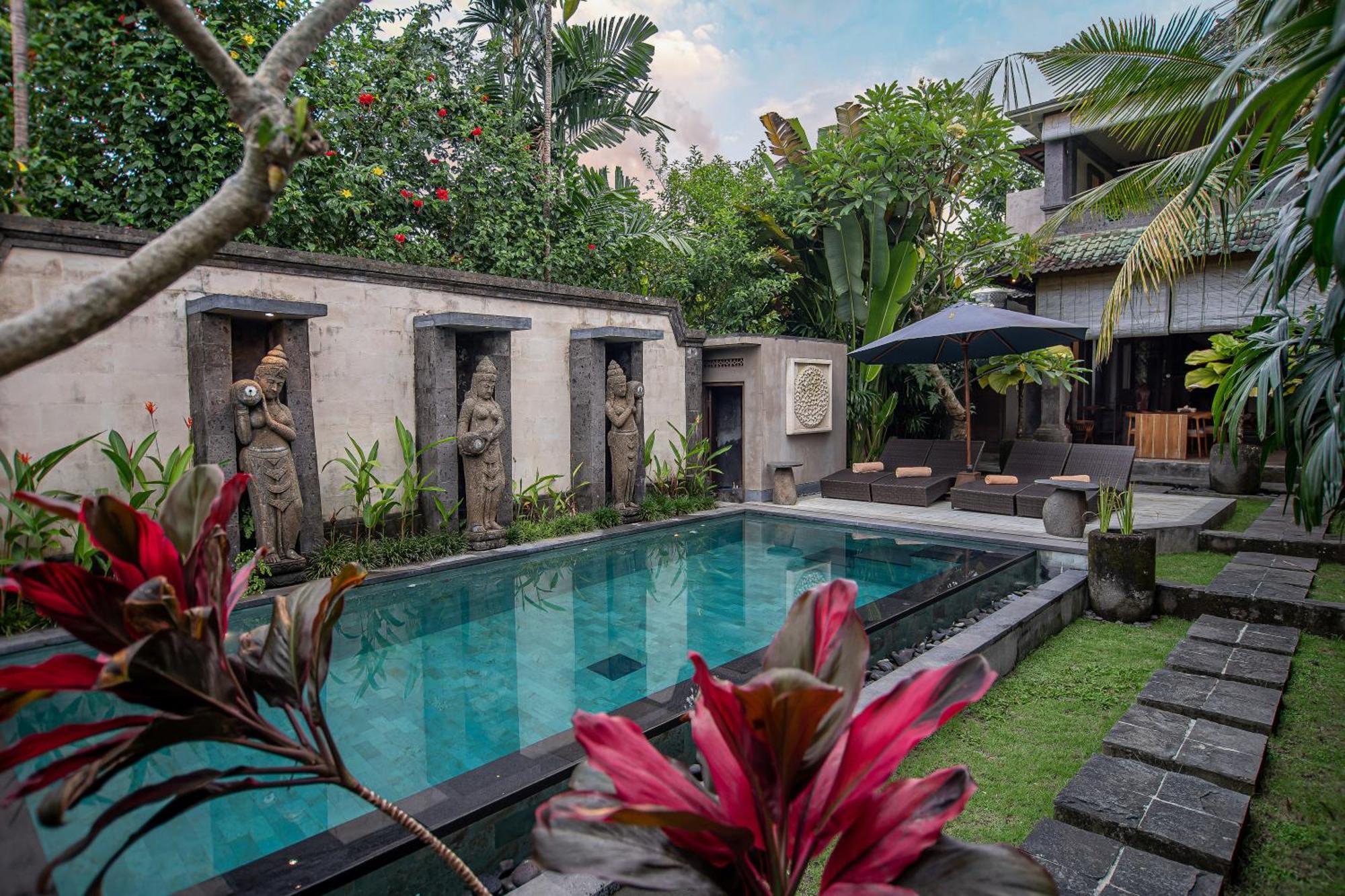 D'legon Luxury
