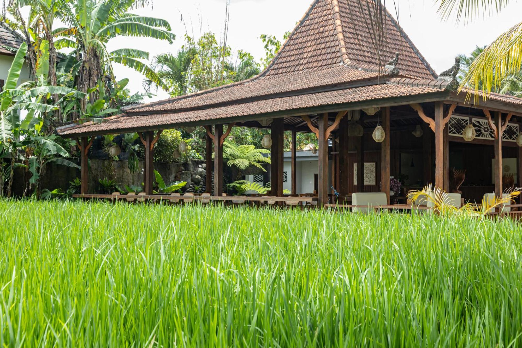 The Sakara By Pramana *