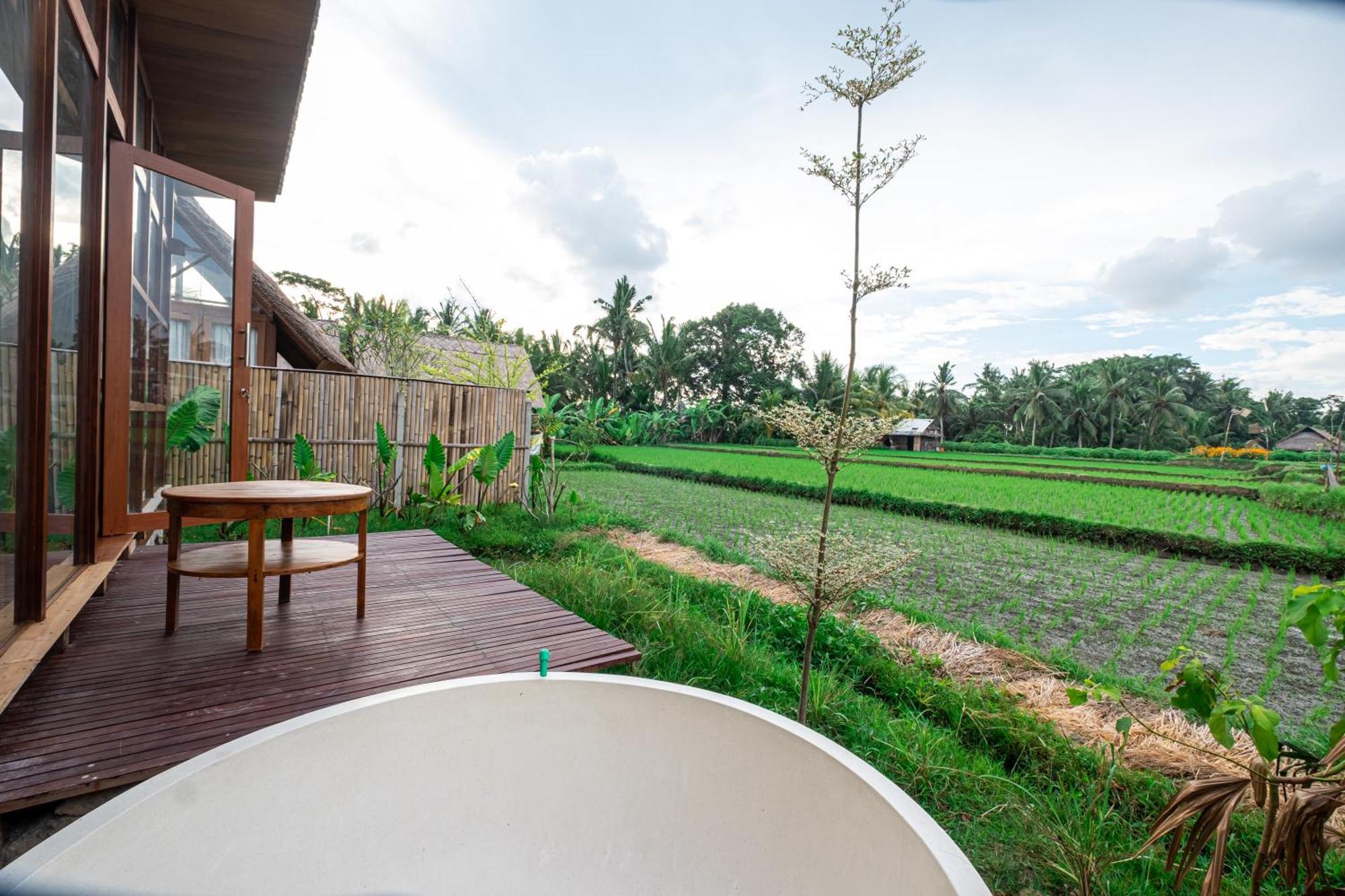 Mawas * Ubud (Bali)