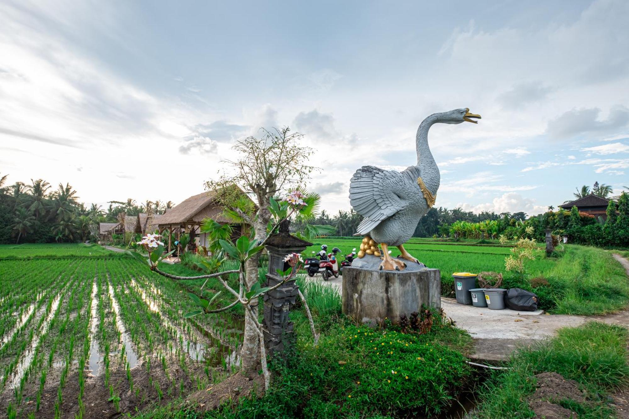 Rumah percutian Mawas Ubud (Bali)
