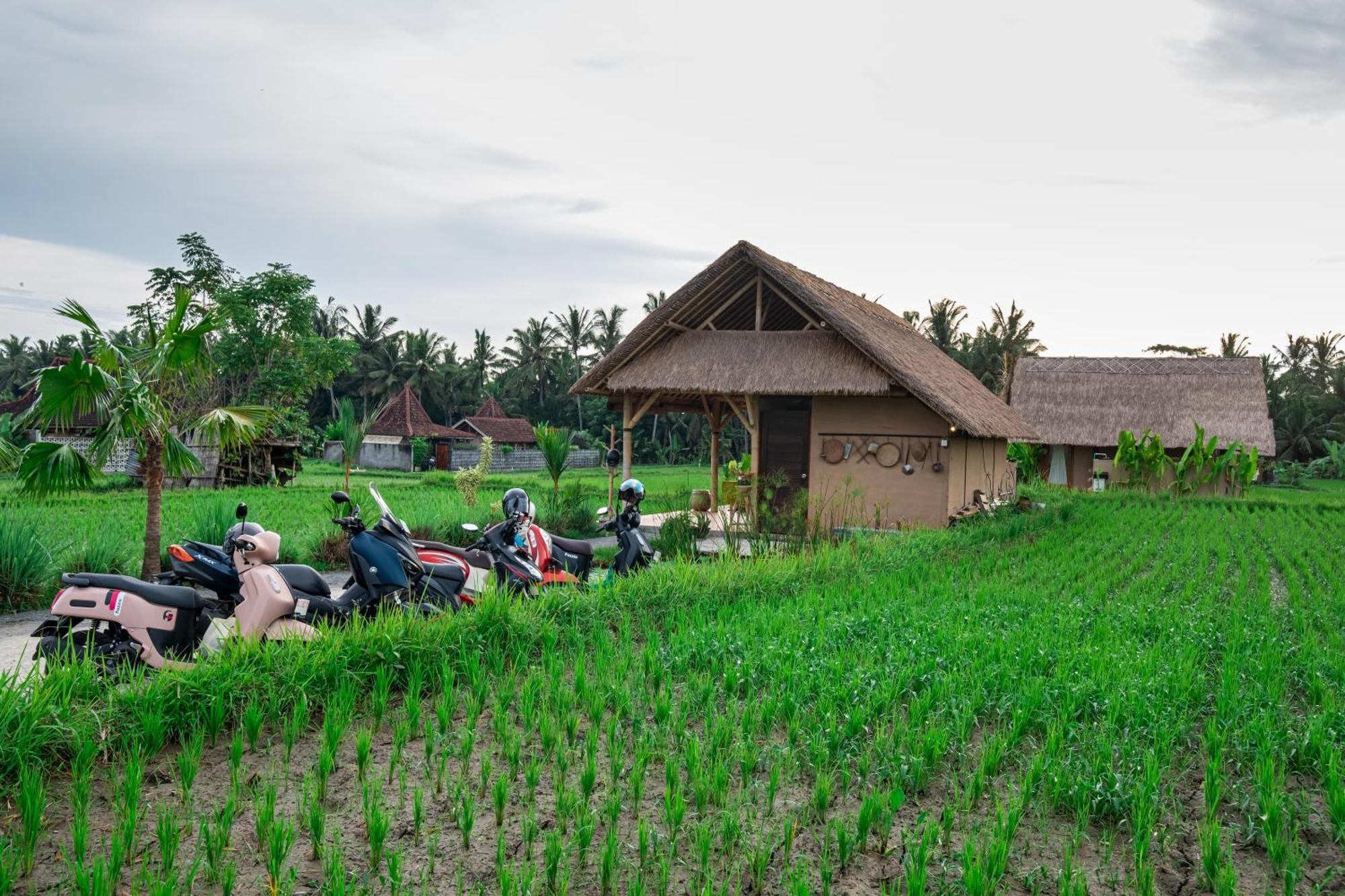 Rumah percutian Mawas