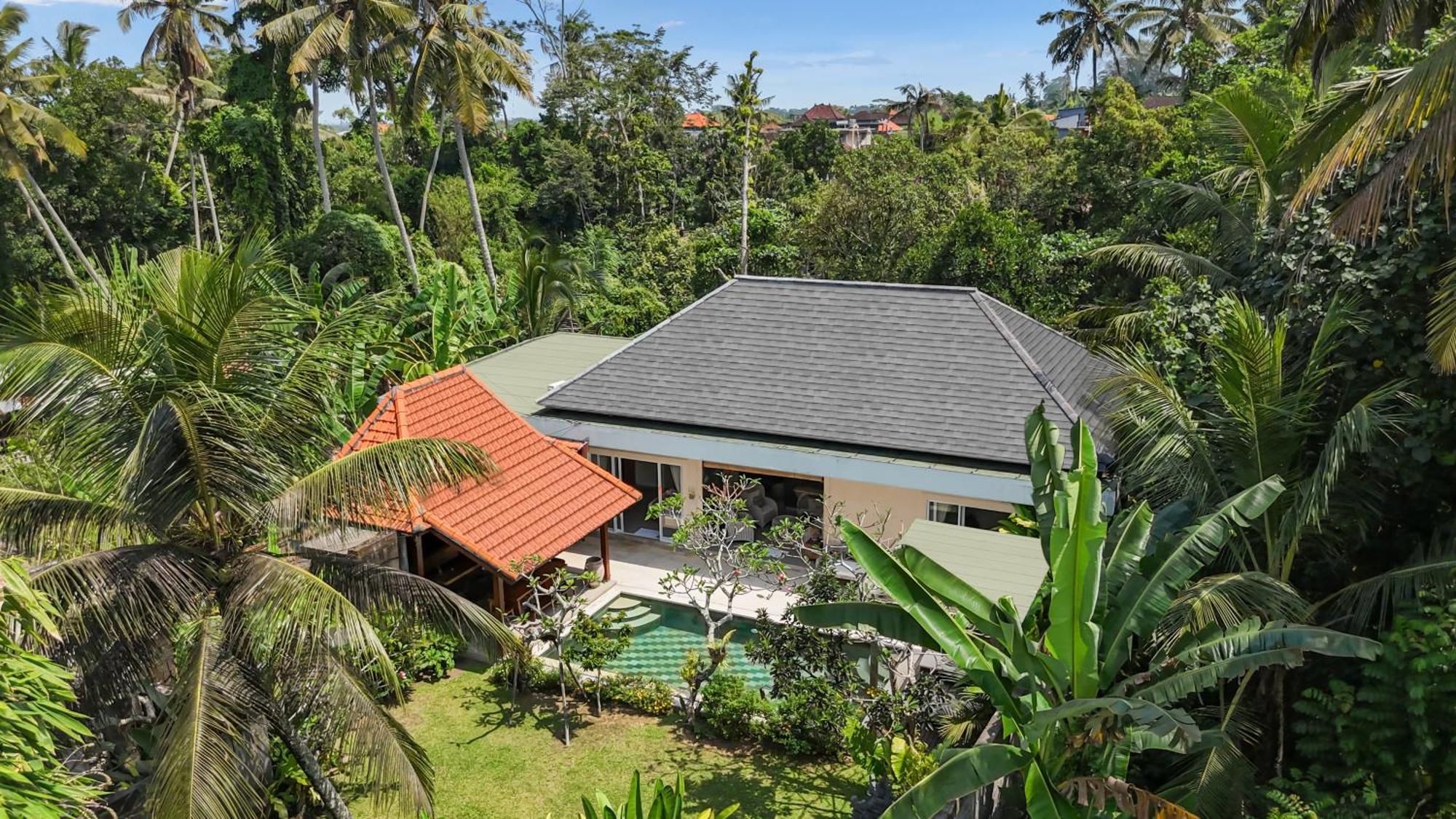 Villa New 4 Bedroom Surrounded By Jungle And Ricefields Ubud (Bali)
