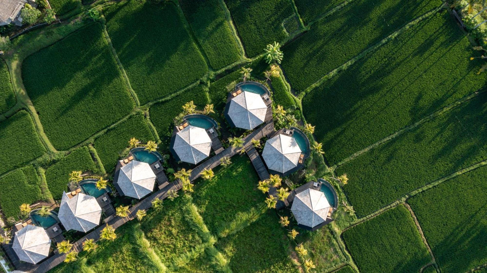 Thewakanda A Pramana Experience