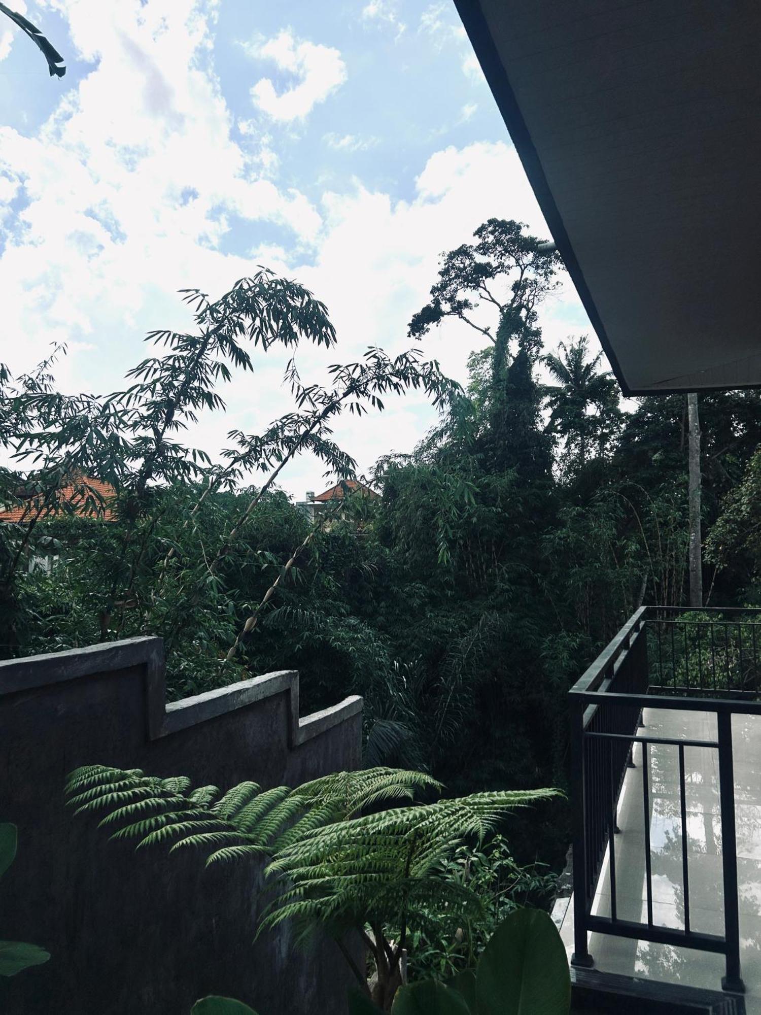 Backyard *