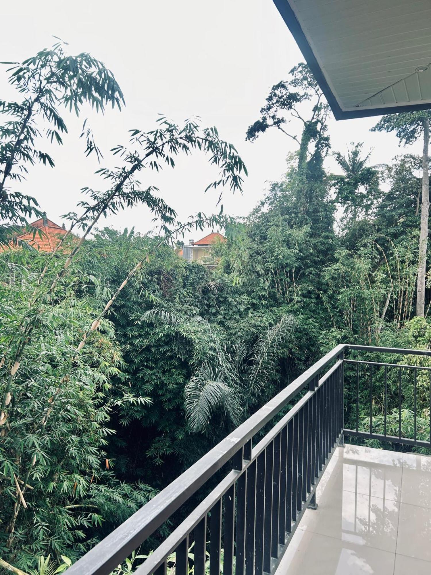 Guest house Backyard